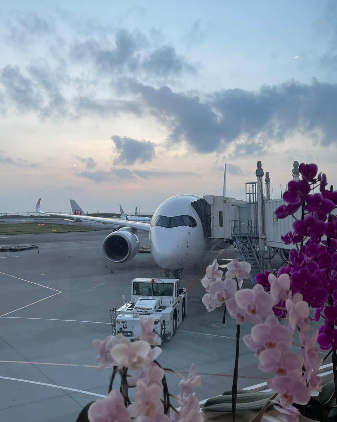 ALEXAさんのインスタグラム写真 - (ALEXAInstagram)「I storied it but forgot to post ✨- okinawa photoshoots are some of the best kind 🌺」7月18日 19時17分 - alexa_luczak