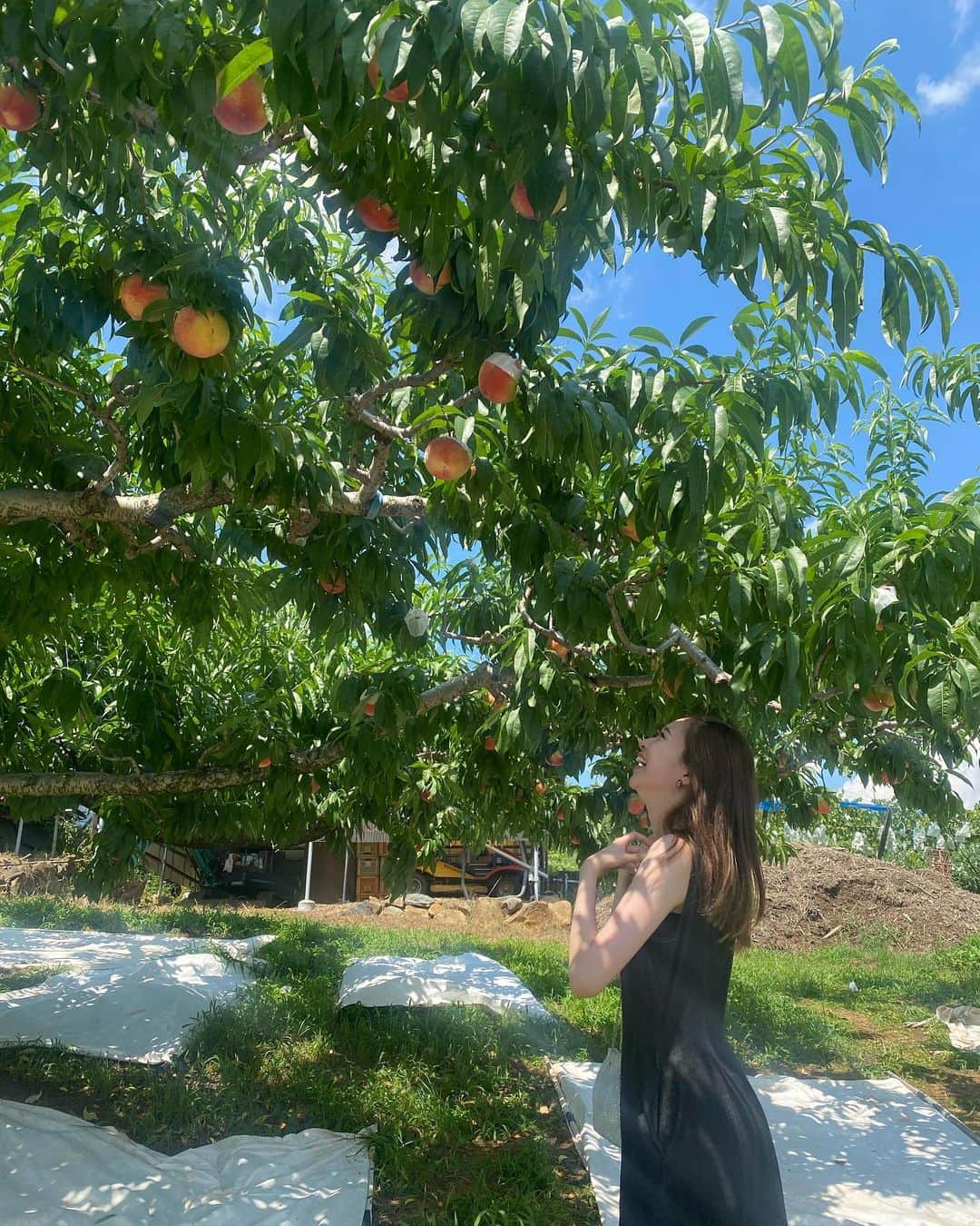 田鍋梨々花のインスタグラム：「・ 🍑🍑🍑」