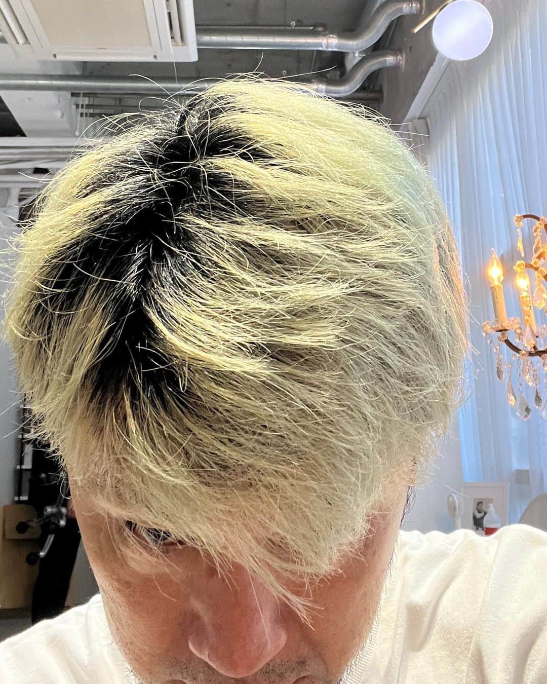 のインスタグラム：「髪🪮染めてきました。直後なので少し暗めですがグレー🩶です。」