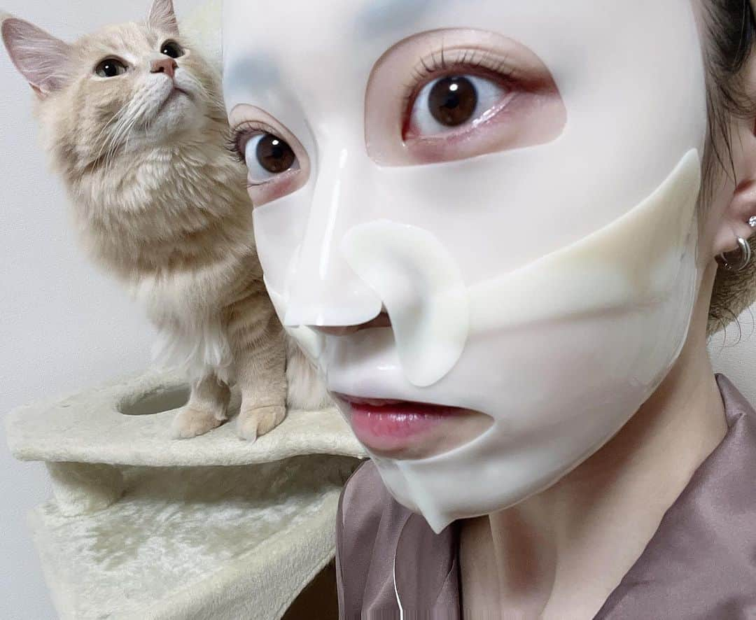 さぁやさんのインスタグラム写真 - (さぁやInstagram)「アルルイ🐈 ⁡ 1枚目は私が通販で間違えて 子供用サイズくらいの ベッドパッド買っちゃった時の😂 ⁡ 2枚目はもうすぐごはんだよって 見つめてくるアルルイ ⁡ 3枚目はパックに不思議なアルル ⁡ 4枚目はお気に入りの場所を 譲って欲しいアルと爆睡なルイルイ😴」7月18日 19時29分 - saaya831