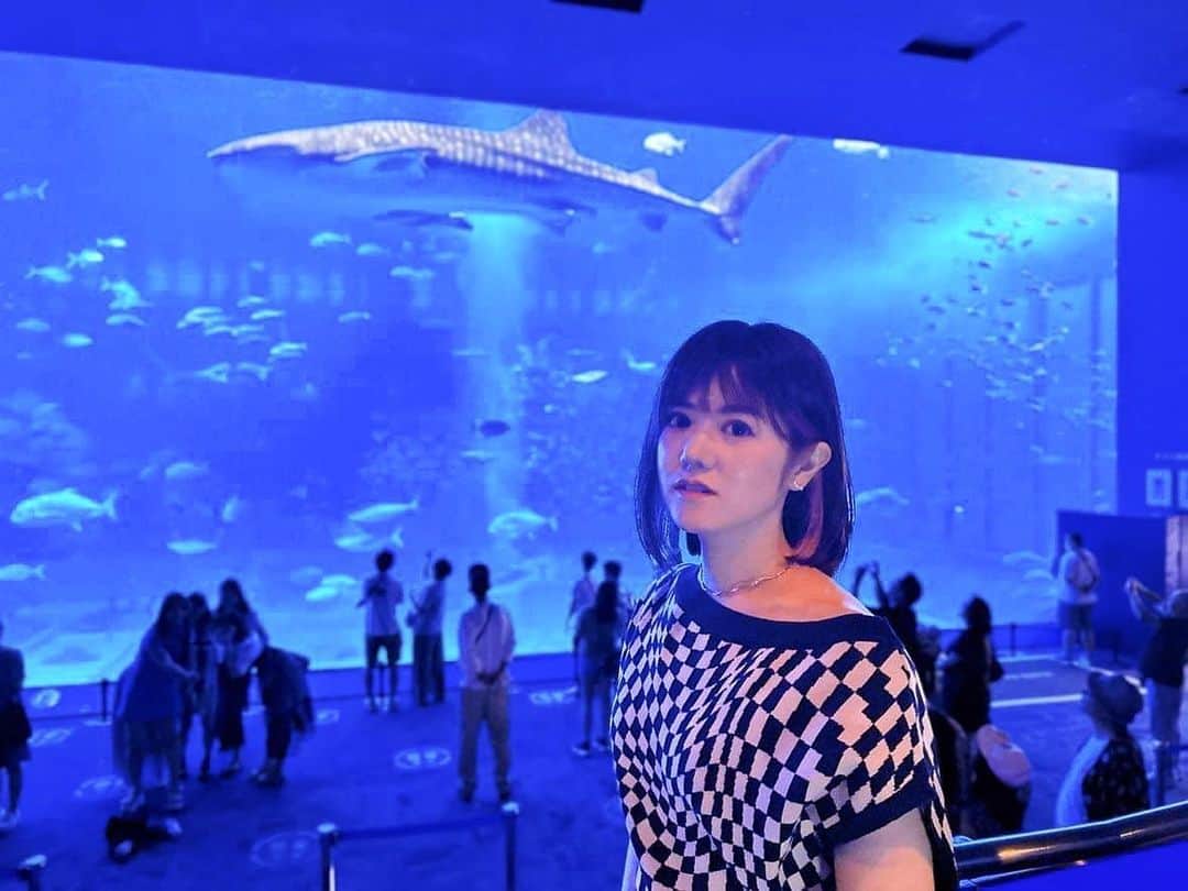 AIMIのインスタグラム：「すっかり夏ですね🐳☀️ 沖縄県本部町にある、ちゅら海水族館で癒されてきました❣️ 思い出話とともに、YouTubeで紹介しました♬ AIMIのよんなーよんなー街さんぽ 観てね〜💓  ▶️ https://youtu.be/TXNXsfhRl1w  #AIMI#okinawa#沖縄大好き #海#観光スポット#おすすめ#ちゅら海水族館#もとぶ#やんばる」