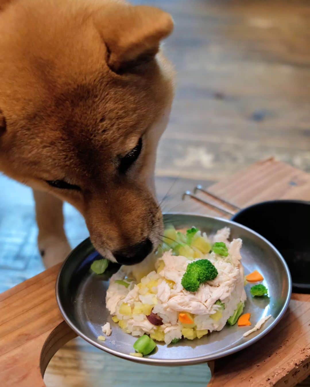 わたをさんのインスタグラム写真 - (わたをInstagram)「🎂🎂🎂 サツマイモと人参のご飯に 解した鶏ササミとブロコリ おすしちゃん１歳おめでと  完食してたよ👴🏼✨  #おうちごはん #晩ごはん  #夜ごはん #夕食 #柴犬 #徳島  #誕生日 #Yummy #Delicious  #Japan #japanesefood  #japanesedinner」7月18日 20時00分 - watao.n