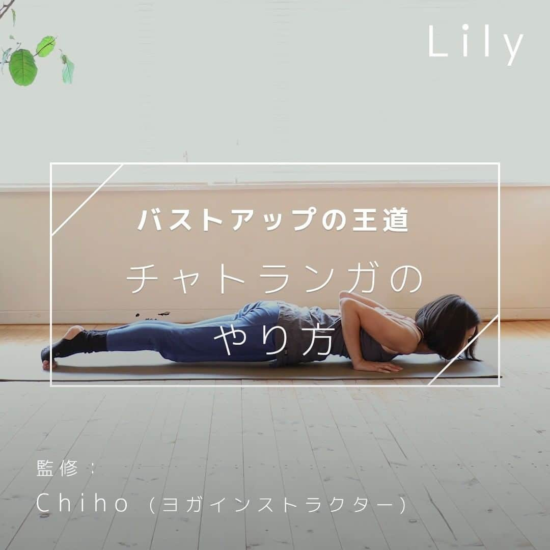 Lilyのインスタグラム