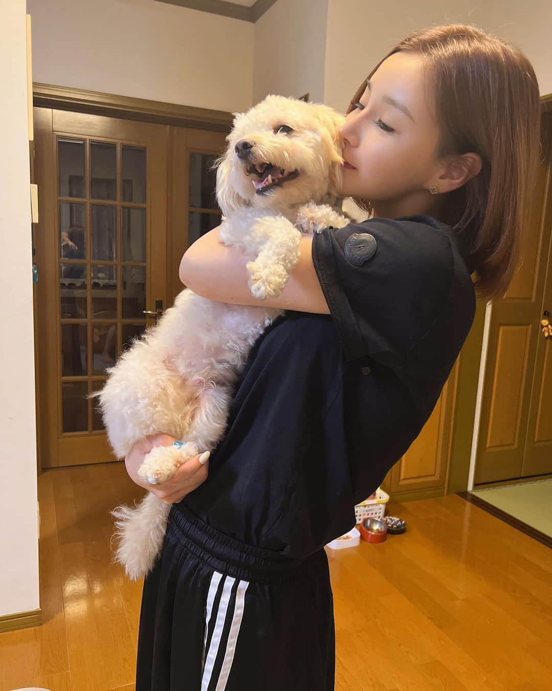 𝑒𝑟𝑖𝑘𝑎さんのインスタグラム写真 - (𝑒𝑟𝑖𝑘𝑎Instagram)「愛犬ティたん🐶🩵🩵🩵 何しても怒らなくて、あざとくて癒される😭🥹 ほんとはずっと一緒がいいけど 実家連れて帰った時に親の反応見て ティたんが実家にいた方がいいなって思って それからずっと実家🥹🥹 . いつもえりの家族を癒してくれてありがとだよ🤭🥹🩵 そろそろ妹ほしいかな？笑 てか大きくなったなーぁ🥰🥰 . . お休みゆっくりできました😚❤️ みんなはできたかなー？🐶 今日からお仕事頑張ります♪ . . #実家#帰省 #愛犬#ティファニー#てぃたん#マルプー#2歳#オス #今日から出勤 #六本木ポセイドン #ポセイドン六本木 #白石えり #すっぴん#すっぴん撮影#撮影者ママ」7月18日 20時26分 - eri.4734