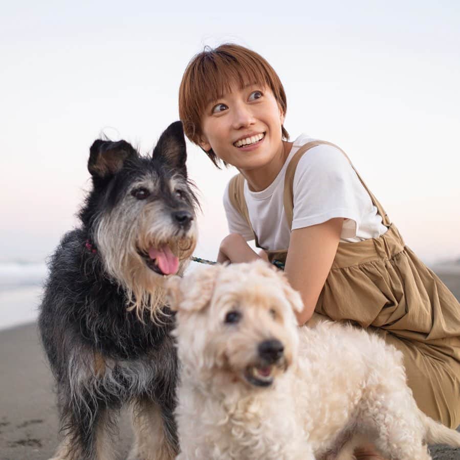 甲斐麻美さんのインスタグラム写真 - (甲斐麻美Instagram)「🥕🥕🥕  何が見える？  犬たちが見つめる その先を わたしも一緒に見ていたい  #20230718 #kaicoの好日 #いぬとわたし #犬とわたし #元保護犬 #保護犬を家族に」7月18日 20時53分 - kaico_asami