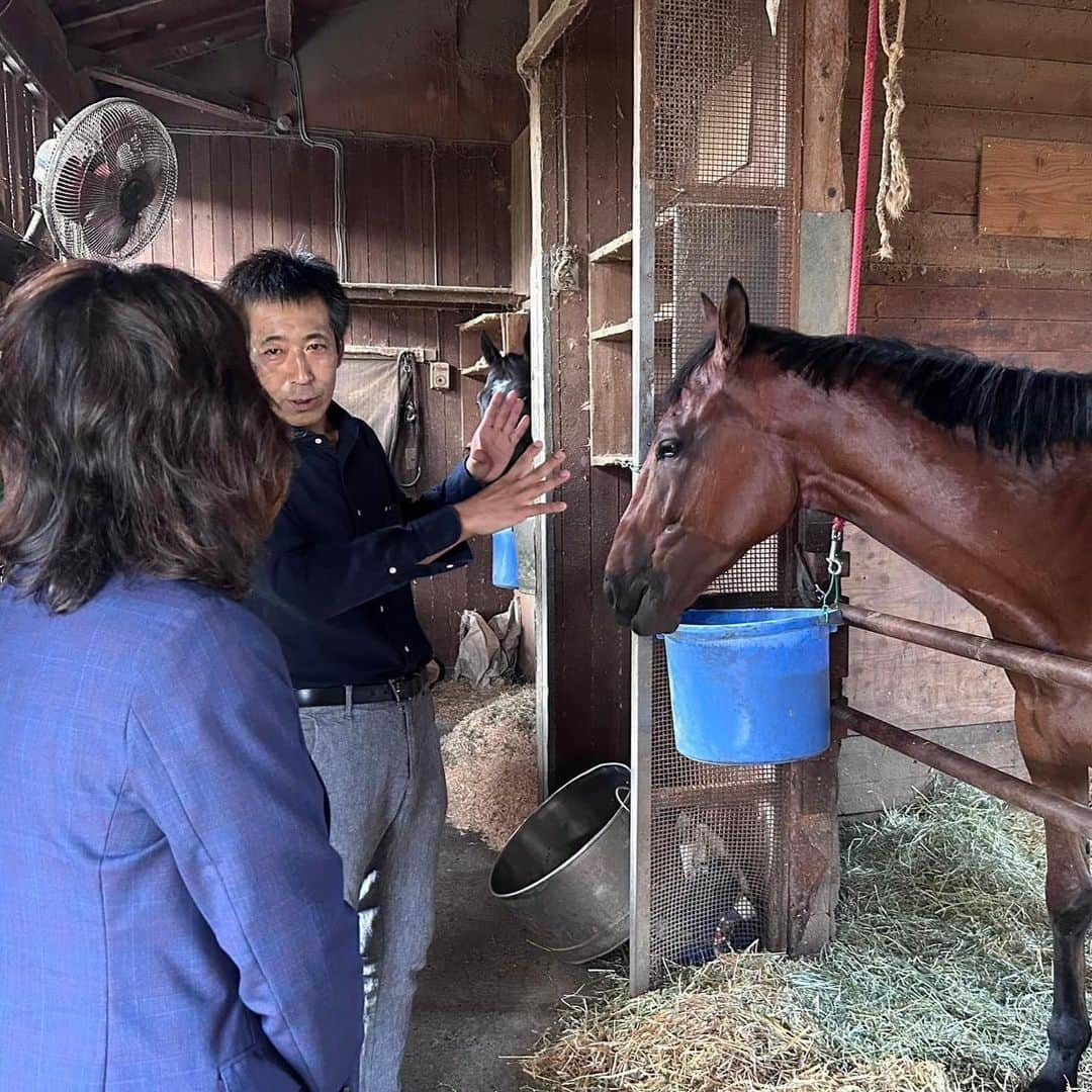 野田聖子さんのインスタグラム写真 - (野田聖子Instagram)「笠松競馬場・厩舎の視察させていただき、意見交換致しました。老朽化や人手不足、労働環境についてなどさまざまな問題があることを聞きました。 今後に向けて女性の働きやすい環境を作るために新たに女性用の更衣室やトイレを整備することが決まっているそうです。  #野田聖子」7月18日 21時06分 - seiko.noda