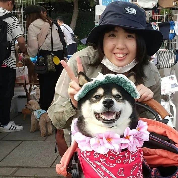 モラキジドッグのインスタグラム：「犬夜市3日間有り難うございました✨  か～なり見付けづらい場所にひっそりとモラキジ商品置かせて頂いていたので探しに来て下さり嬉しかったです✨  久しぶりにお会いできお話し出来て楽しかった♪  岡本の事、ララの事、色々と心配して下さり有り難うございました！  お久しぶりな出店者さんともお会いできてパワーを頂いた3日間でした💪  触れ合い大事。 また、イベント出れるように頑張ろう！  暑い中、本当に有り難うございました✨ * #犬夜市 #マカマカハワイ #ハーズ #モラキジドッグ #richogr3」