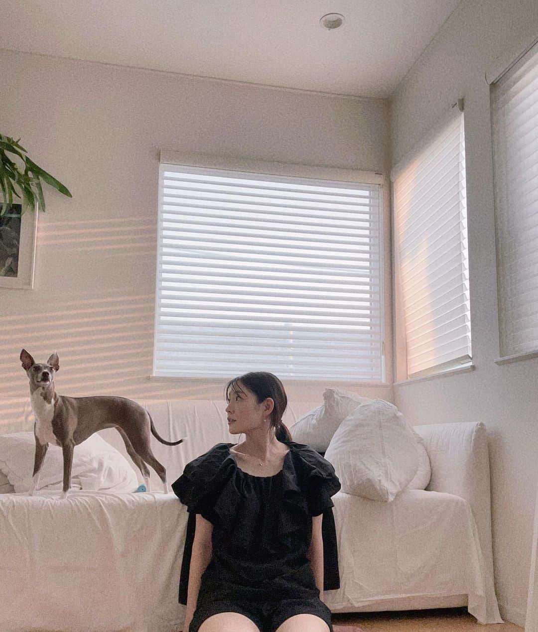 森貴美子のインスタグラム：「このナナ、シンバみたいだな🦁  しかし毎日暑いね〜☀️ 日中いかに外に出ずに済ますかばかり考えている。」