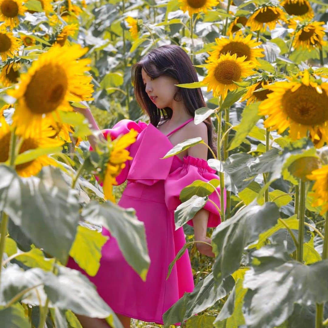 めいさんのインスタグラム写真 - (めいInstagram)「-- あなたに言いたいのは あなたと一緒にいると私のエロさもだんだん増えていくよ💛 ・ ・ ・　 ・ ・ ・  —  #instapic#日本#summer#寫真#portrait#사진#写真部#写真集#커피#ポートレート#japanesegirl#beauty#japan#photo_jpn#sunflower#섹시#photo#ひまわり#フォロー#撮影#model#view#向日葵#tokyo#follow#portraitsedition  跟你說個消息 我對你的思想已不純潔了」7月18日 21時08分 - meitienlin1125