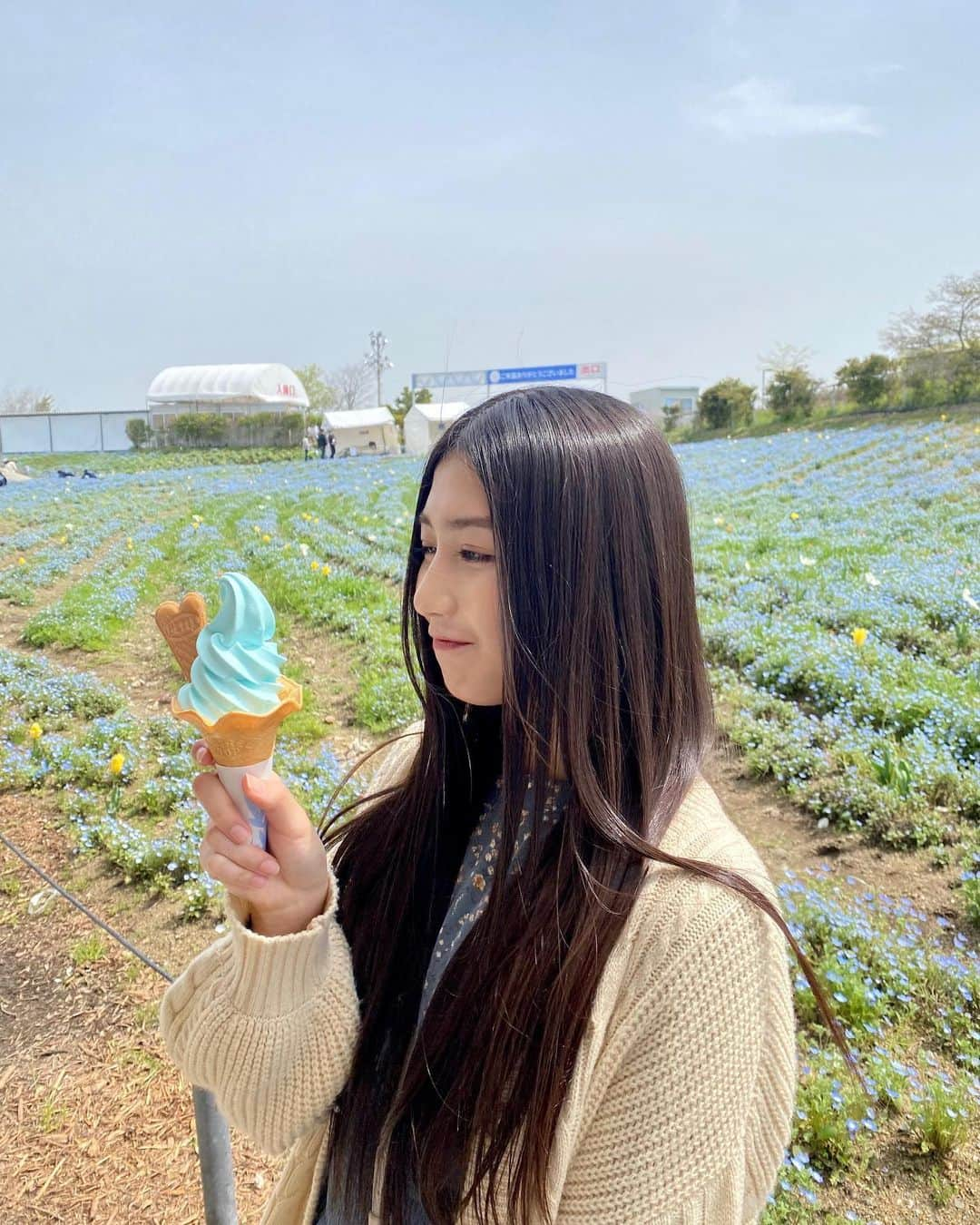 塩月希依音さんのインスタグラム写真 - (塩月希依音Instagram)「青いソフトクリーム知ってる？🍦💙  ネモフィラソフト😋  #ソフトクリーム#ソフトクリーム🍦 #ネモフィラ#ネモフィラソフト#ネモフィラソフトはラムネ味 #ネモフィラ#ネモフィラ畑 #ネモフィラ祭り #大阪#大阪観光 #観光#観光地 #観光スポット #映え#映えスポット #関西#舞洲#舞洲ネモフィラ祭り #ケイト旅#jk#ljk #05#05년생 #05line」7月18日 21時09分 - keito.shiotsuki