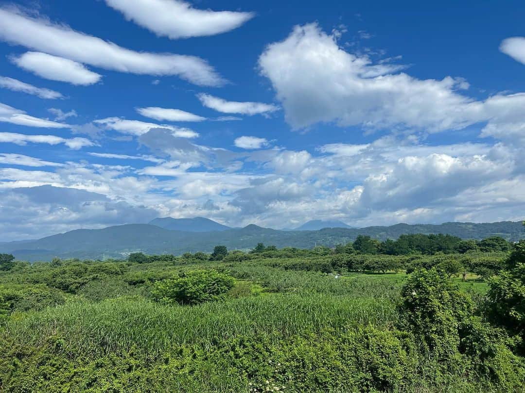 中村優さんのインスタグラム写真 - (中村優Instagram)「小布施見にマラソン🙌🏼 今年もゲストランナーとして参加してきました🏃‍♀️✨🌿  たくさん食べてたくさん遊んで、本当に楽しいハーフマラソン🩷気球乗ったりもして2時間45分くらいかけてゴールしたら、あれ早かったじゃん！って言われたw 制限時間5時間もあるので、仮装ランナーがスタートからぜんぶ歩いてもゴールできるのです🙌🏼  朝の6時にスタートしても今年は暑かったね〜🌞 ただ、青空と緑が本当に美しかったです🌱 大会に関わる皆様おつかれさまでした❤️🙏✨ #小布施#長野#ハーフマラソン#小布施見にマラソン」7月18日 21時20分 - nkmr_yu