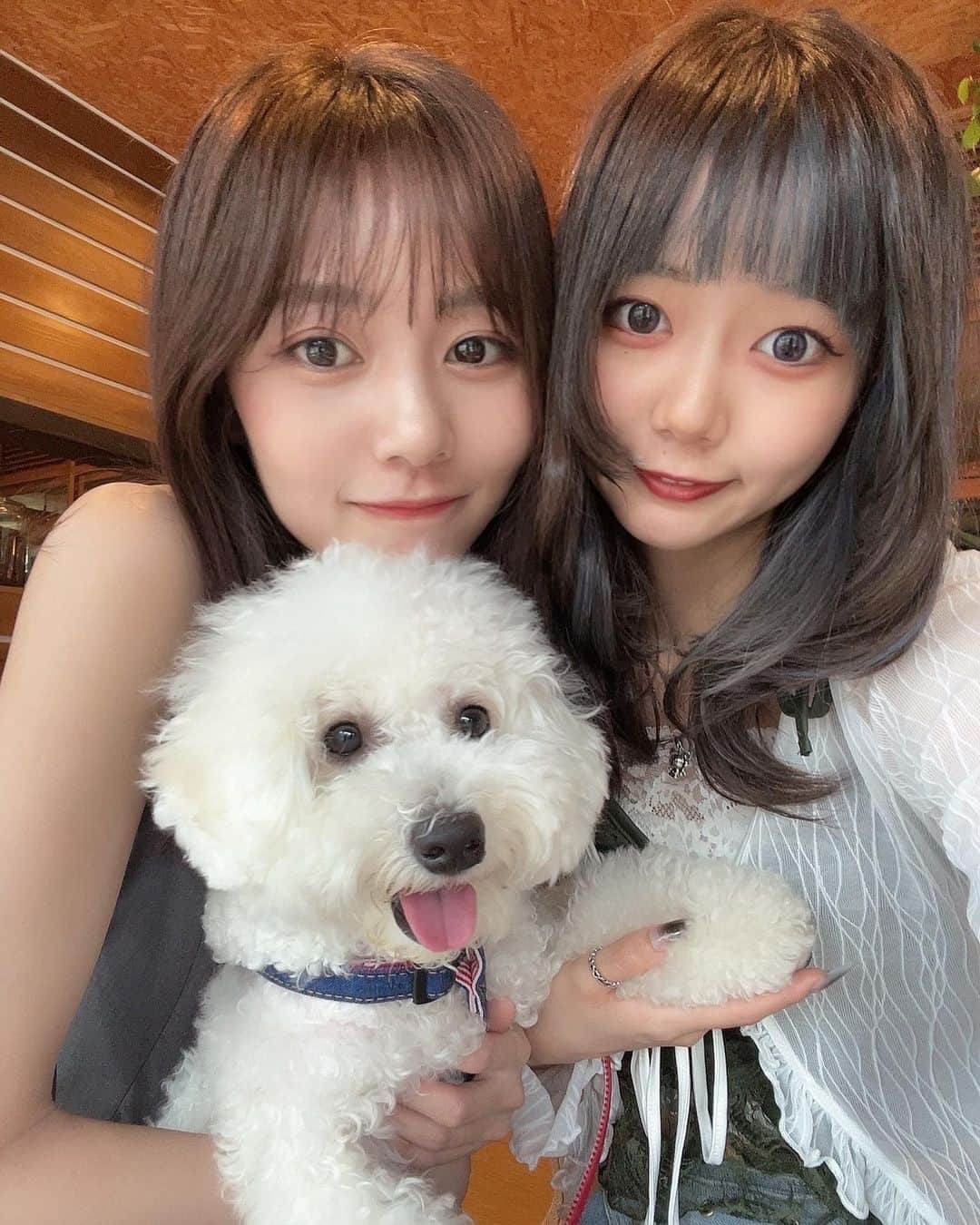 杉浦みずきのインスタグラム：「. 三姉妹💓 杉浦みずき（26）  しづき（22）  らむね（1 ）」