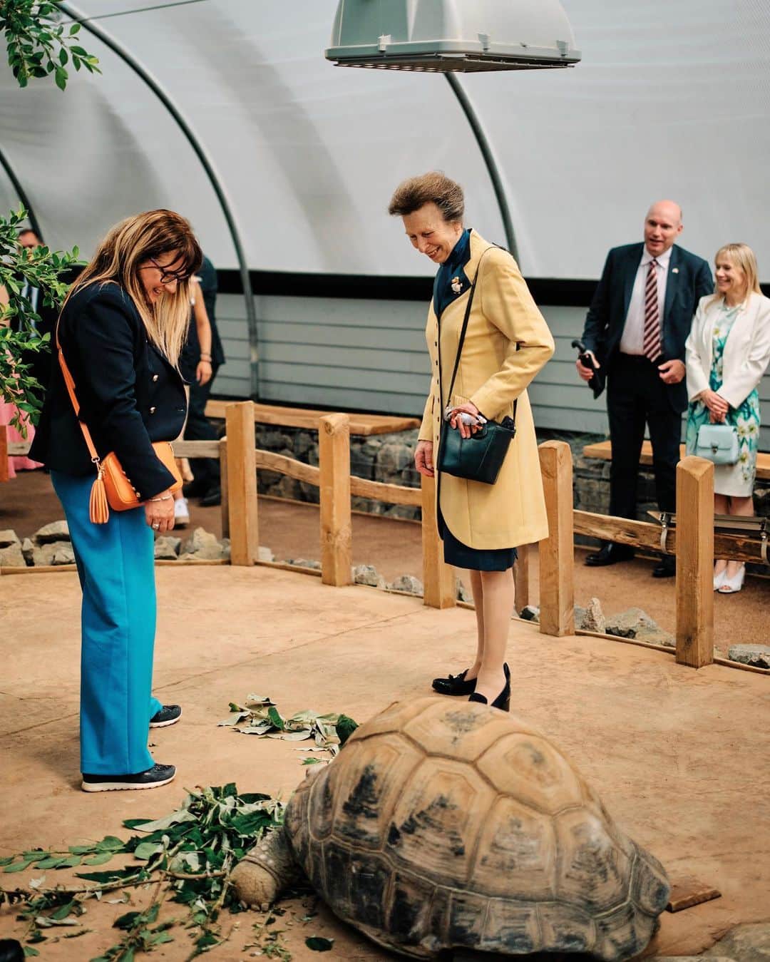 ロイヤル・ファミリーのインスタグラム：「🐢🐢🐢 Celebrating @JerseyTortoises!   The Princess Royal has visited @Durrell_JerseyZoo’s Tortoise Takeover, an island-wide sculpture trail with colourful, inspiring, and thrilling works of art that will lead people on a trail to see the tortoises and their home on the Island.  During her visit, The Princess Royal saw ‘Sanctuary,’ one of the giant tortoise sculptures designed to mark 50 years of Her Royal Highness’s Patronage.  🎨 The Princess chose the design by artist Gabriella Street, which features colours pulled from photographs of Her Royal Highness’s past and present fashion, as well as flora and fauna specific to The Princess’s many trips to Durrell projects and Jersey Zoo.  Her Royal Highness later opened the Tortoise Tunnel at Jersey Zoo, a state of the art enclosure for 4 giant Aldabra tortoises. 🐢 The charity's island restoration programme in Mauritius has been working to restore vital ecosystems that have been lost due to the extinction of native tortoises.  Read more on royal.uk (link in bio).」