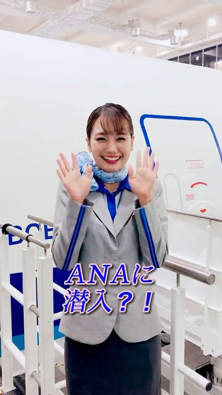 女子アナウンサーまとめのインスタグラム：「. リアルスコープ時の清華CA✈️  #井上清華」