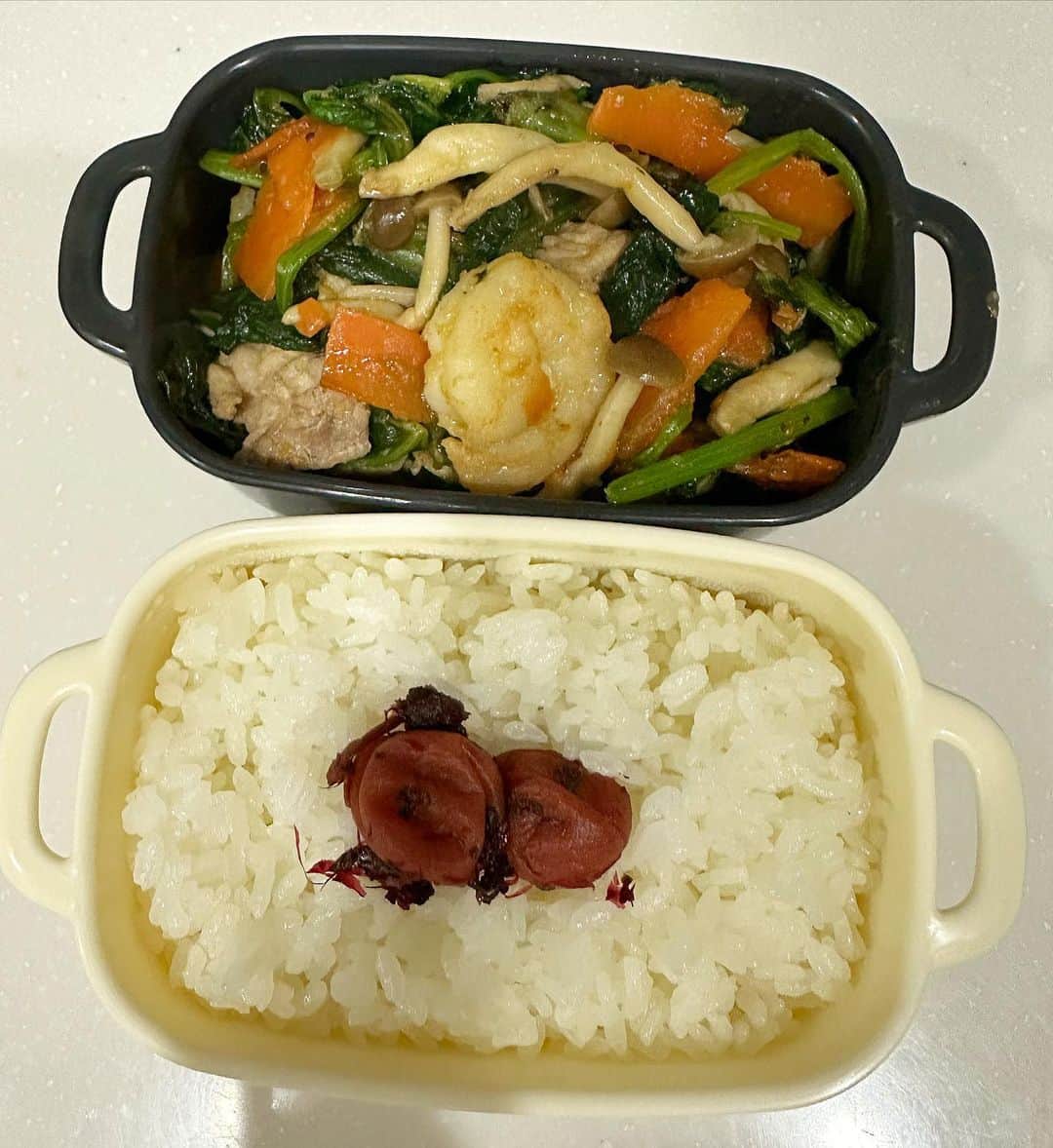 のインスタグラム：「#今日のお弁当  🍱中華炒め弁当🍱  ほうれん草🥬 人参🥕 豚肉🐖 しめじ🍄 海老🦐 ご飯🍚 かつお梅🐟🌸  大皿の量、全部このタッパーに入った😱💦 食べちゃった😱  そして、おいちかった😝」