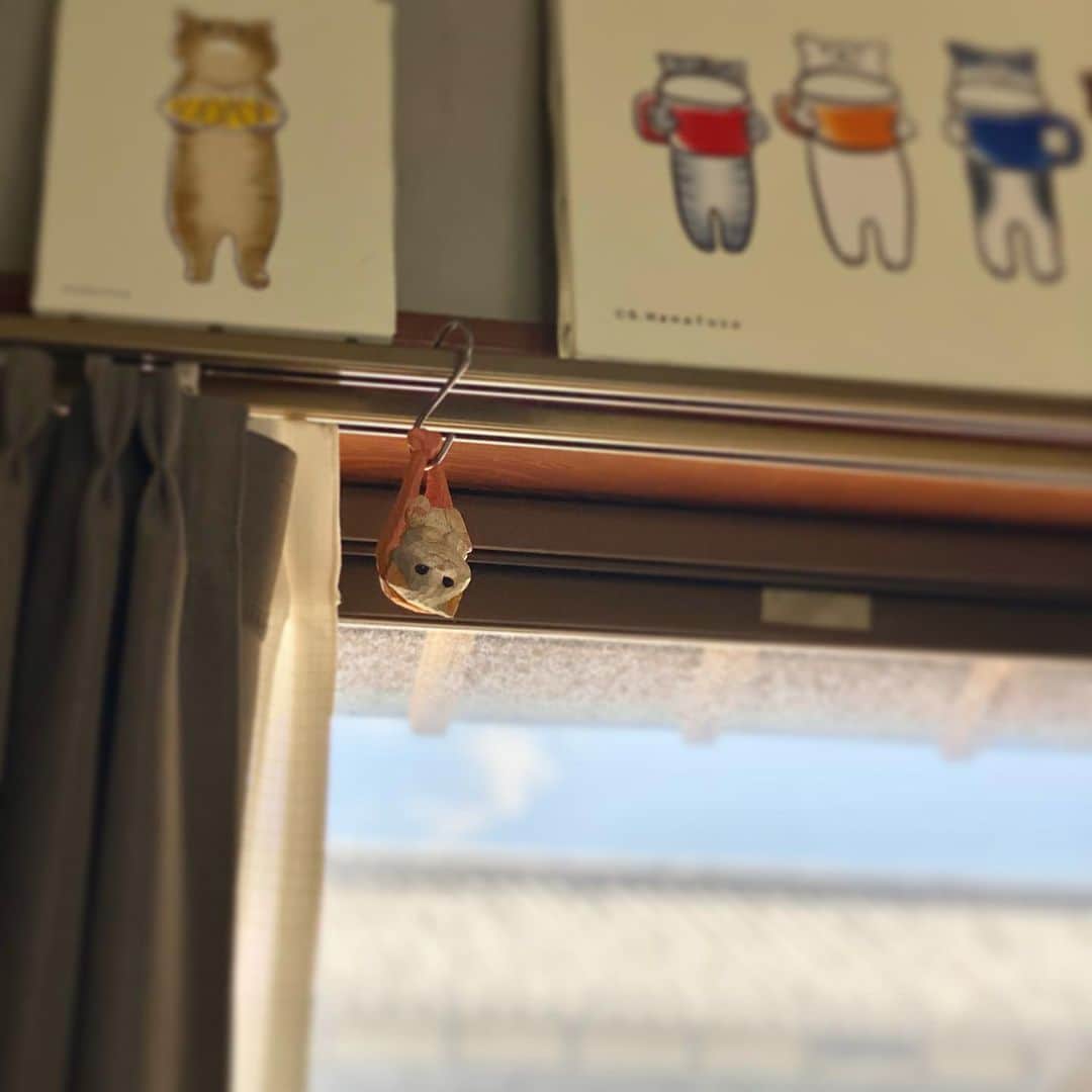 花房さくらさんのインスタグラム写真 - (花房さくらInstagram)「よく見ると･･･猫いた！！  カーテンレールのアクセサリーにもなります。 (そんなものがあるのかは分からないけど)  #ねこ包み  #カプセルトイ #ボックストイ  #スタジオソータ #ご予約受付中  #cat #sculpture #hanafusasakura」7月18日 22時05分 - sakura_hanafusa