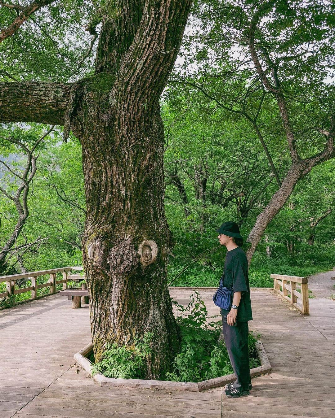 Y U R I Eのインスタグラム：「1-木と会話してる？ @s1300pacy  👀🌳（顔に見える😀） 2-国立公園行く時に履いて行きたくなる @parksproject_japan × Teva 3-マイナスイオンが画面から溢れそう 4-上高地の小梨平キャンプ場  #explorejapan#NAGANO#KAMIKOCHI#japantravel#visitjapan#parksproject#teva#長野#松本市#上高地#中部山岳国立公園#梓川#国立公園#国内旅行」