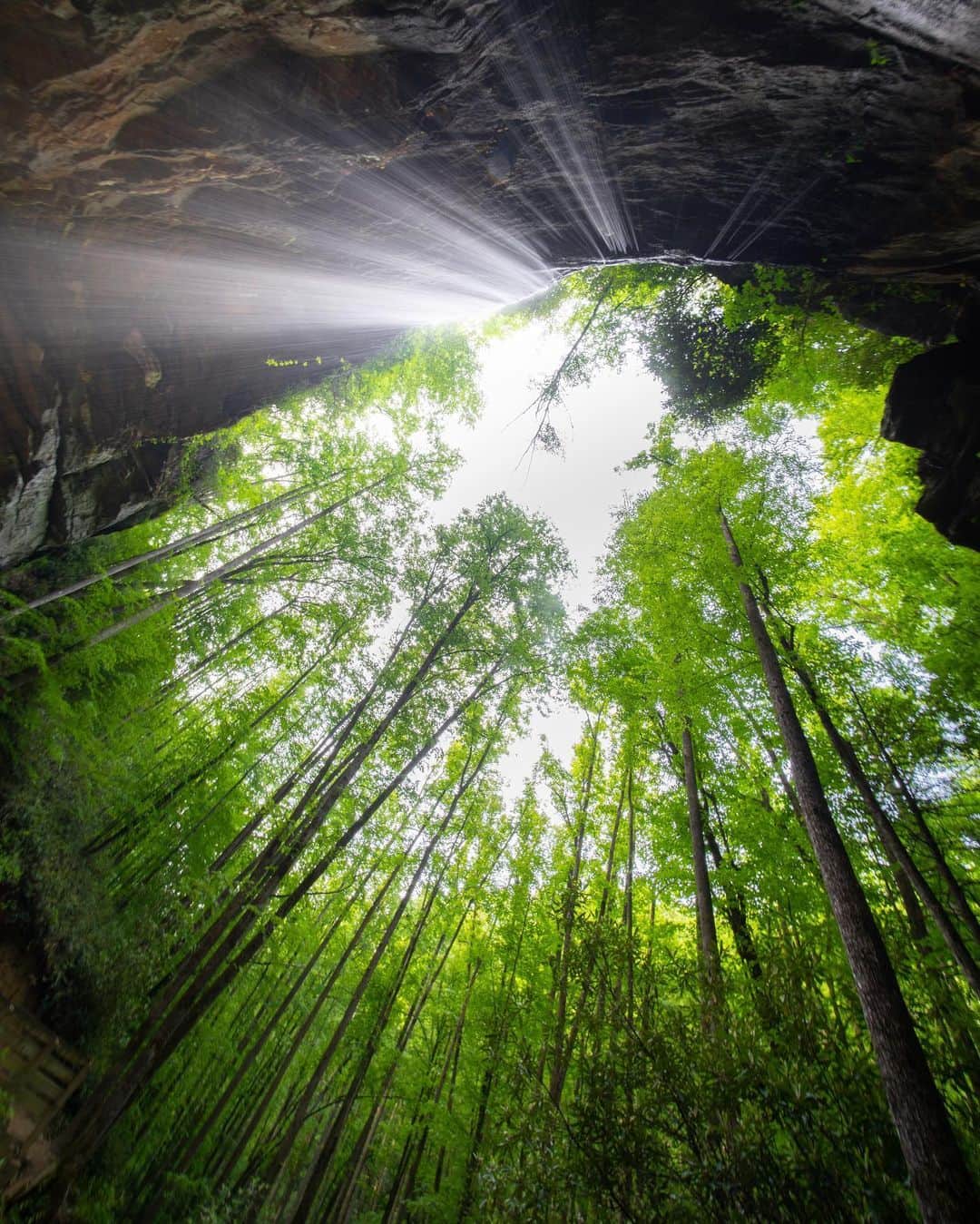クリス・バーカードのインスタグラム：「Sometimes you gotta lift your eyes to the place where trees meet the sky and rays of sunlight shine through, making patterns on the forest floor at your feet. I found myself caught in several moments like these while exploring Asheville, NC cruising on mountain bikes, rafts, or standing in waders quietly waiting for a trout after an invitation from @visitasheville to document local adventures during the springtime. Safe to say I've never see deeper greens and lush forests that encourage you to step outdoors and decompress in the best way possible with kind people and even maple bacon lattes... #exploreasheville」