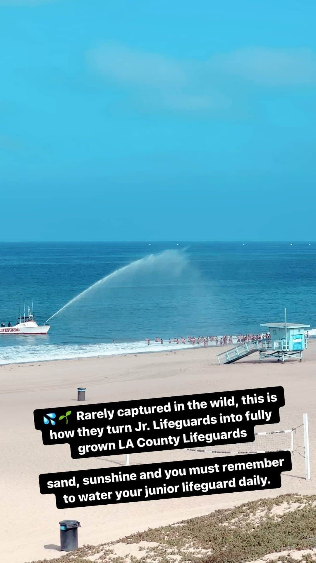 Pete Halvorsenのインスタグラム：「💦🌱 Rarely captured in the wild, this is how they turn Jr. Lifeguards into fully grown @lacolifeguards - sand, sunshine and you must remember to water your junior lifeguard daily.」