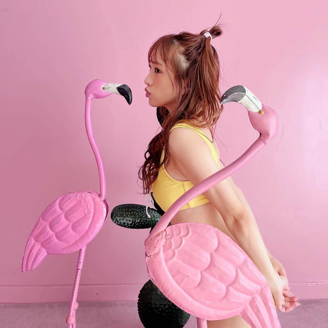向井地美音のインスタグラム：「* 発売まであと2日🦩🩷 #向井地美音1st写真集」