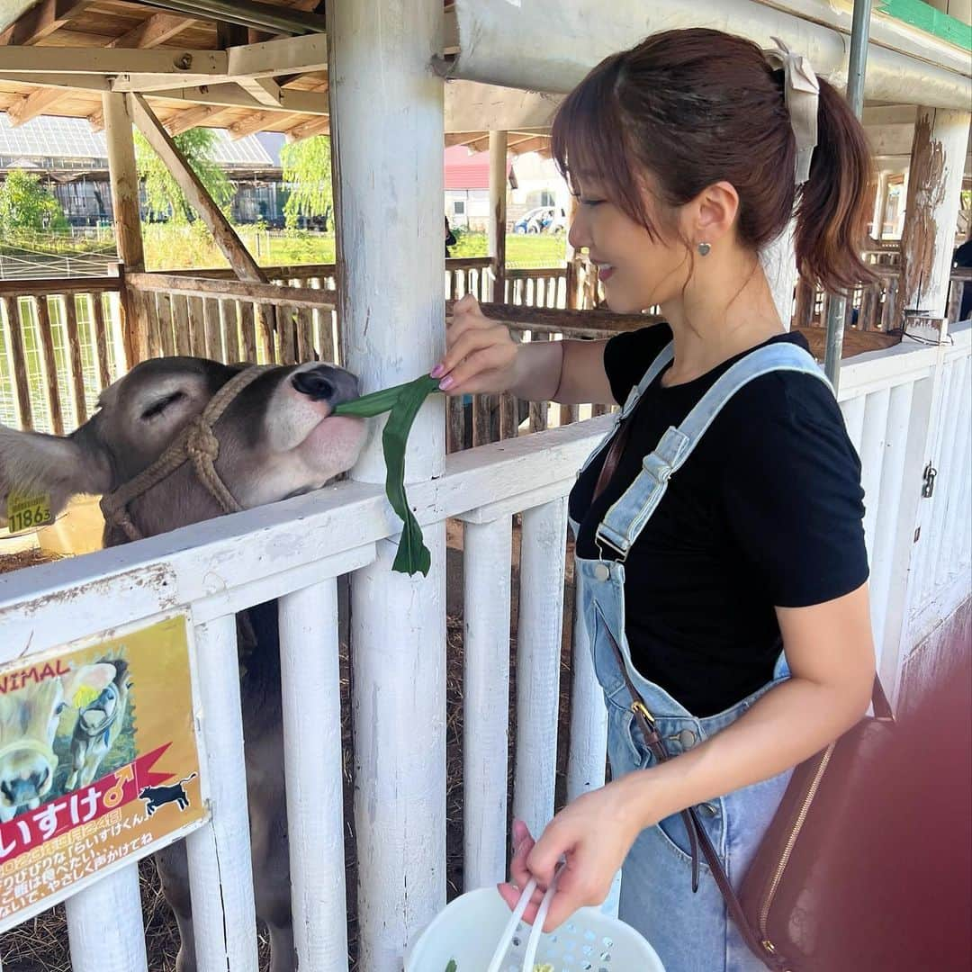 大槻ひびきさんのインスタグラム写真 - (大槻ひびきInstagram)「静岡県にある 酪農王国オラッチェ🐮さんへ コムスの寄贈をさせていただきました✨ 広い敷地内をコムスでスイスイ移動できます😊 遊びに来ていた子供達が 写真を撮って楽しんでる姿を見て 嬉しくなりました🌸  原動機研究部のみんなと一緒に BBQしたり動物達に野菜をあげたり とうもろこし畑の迷路で遊びました🌽😊 一緒に遊びにきてくれたファンの皆さん！ 遠くから会いに来てくれてありがとう🥰  オラッチェさんのお土産が どれも美味しかったです🌸 バウムクーヘンふわふわ！ ミルクの入浴剤を入れたお風呂で ポカポカあたたまりました☺️  これからも原動機研究部の活動が 地域活性化にお役立ちできれば幸いです🍀 オラッチェさん また遊びに行きたいな😊  #shizuoka #静岡県　#オラッチェ　#動物 #酪農　#コムス」7月19日 2時05分 - yanhibi0221