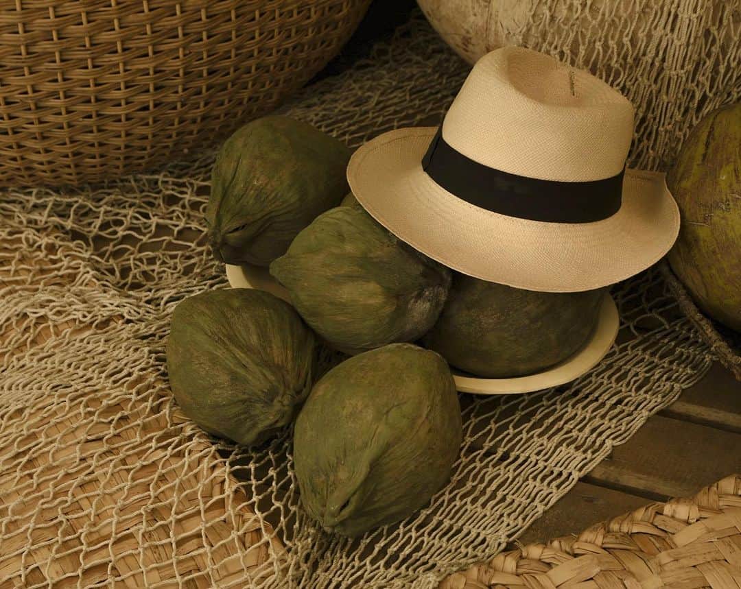 オンダデマーのインスタグラム：「A little coconut water, please.🥥  We have a new website for purchases in the USA and its surroundings🥳👇🏼   OndadeMar.com   #medialuna #ondademar #onepiece #bikinideunapieza #bikiniusa #bikinicolombia #beach #summer」