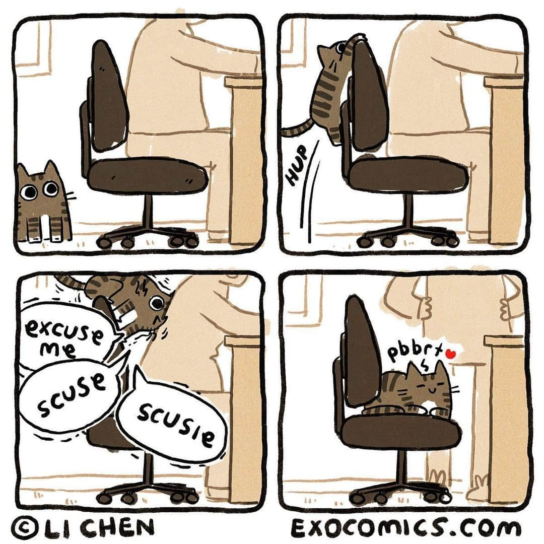 9GAGさんのインスタグラム写真 - (9GAGInstagram)「it's mine now😼 ✍🏻 @exocomics - @meowed #cat #feline #ifitfitsisit #comic #memes #9gag」7月19日 4時00分 - 9gag