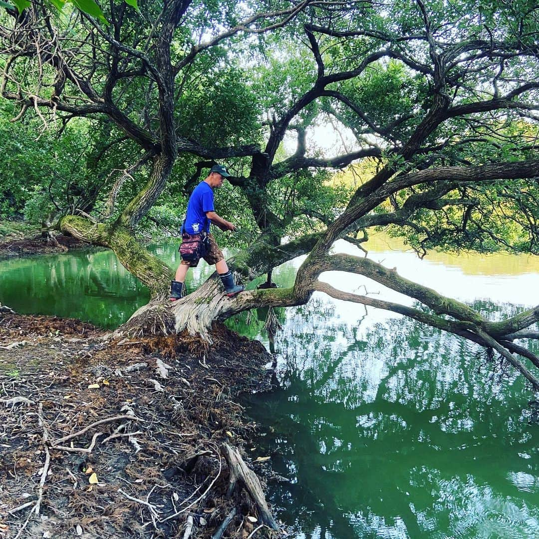 進祐哉さんのインスタグラム写真 - (進祐哉Instagram)「連戦前のオフに🎣 夏をなめすぎた男達は遂に雄蛇ヶ池を攻略した👊 昼からやるのはやめようと思います🥵  #ペスカリブレ」7月19日 4時04分 - susumu.0114