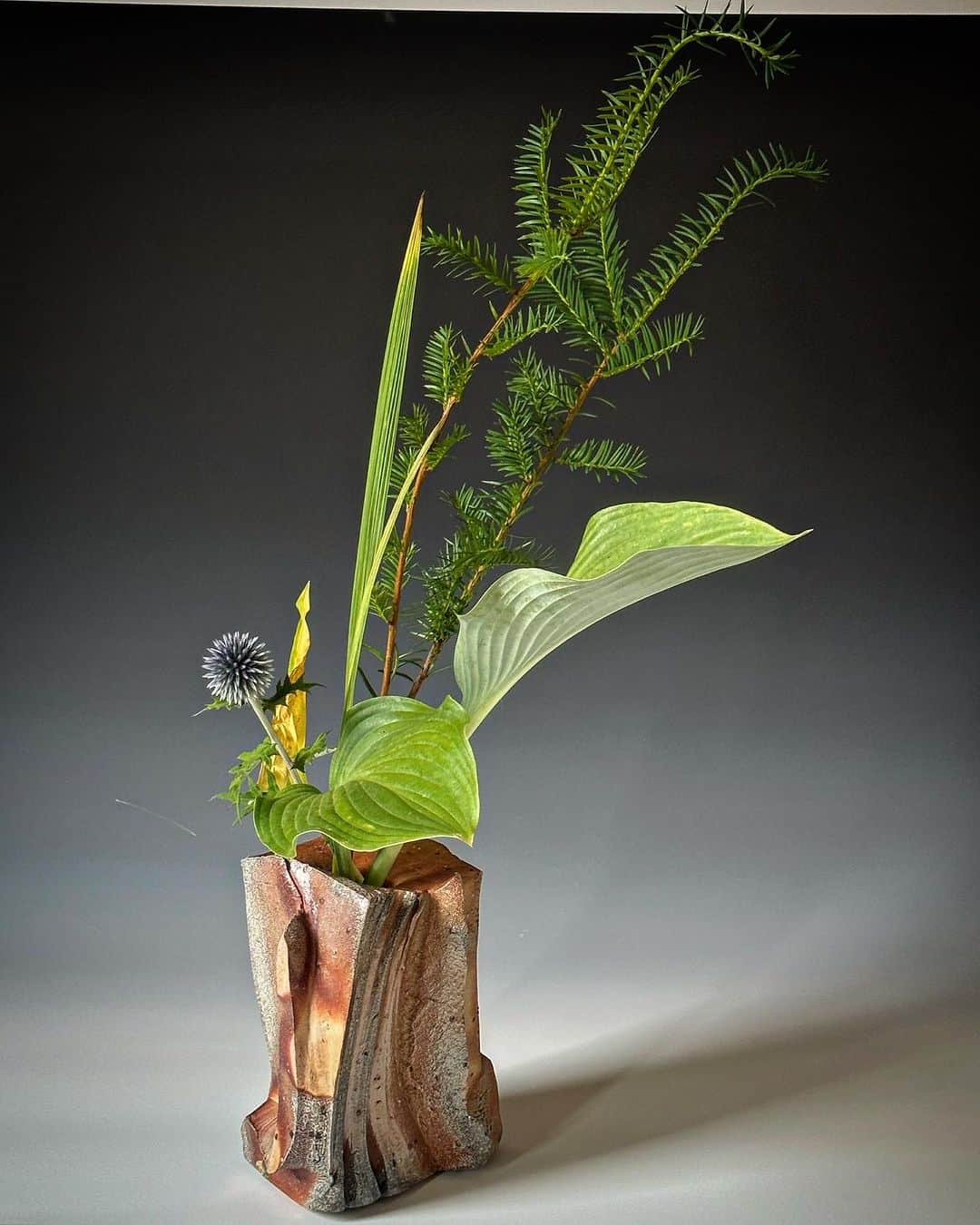 佐竹晃さんのインスタグラム写真 - (佐竹晃Instagram)「Another Ikebana by @sayo.ikebana with wood fired Kurinuki vase. www.akirasatake.com  .  #ikebana #いけばな #kurinuki #woodfiredceramics #薪窯 #くりぬき #akirasatakeceramics #clay  #asheville  #vase #花器　#gallerymugen  #陶芸 #陶芸家  #佐竹晃 #ceramics #pottery #japanese #japanesepottery #vase」7月19日 4時12分 - akirasatake