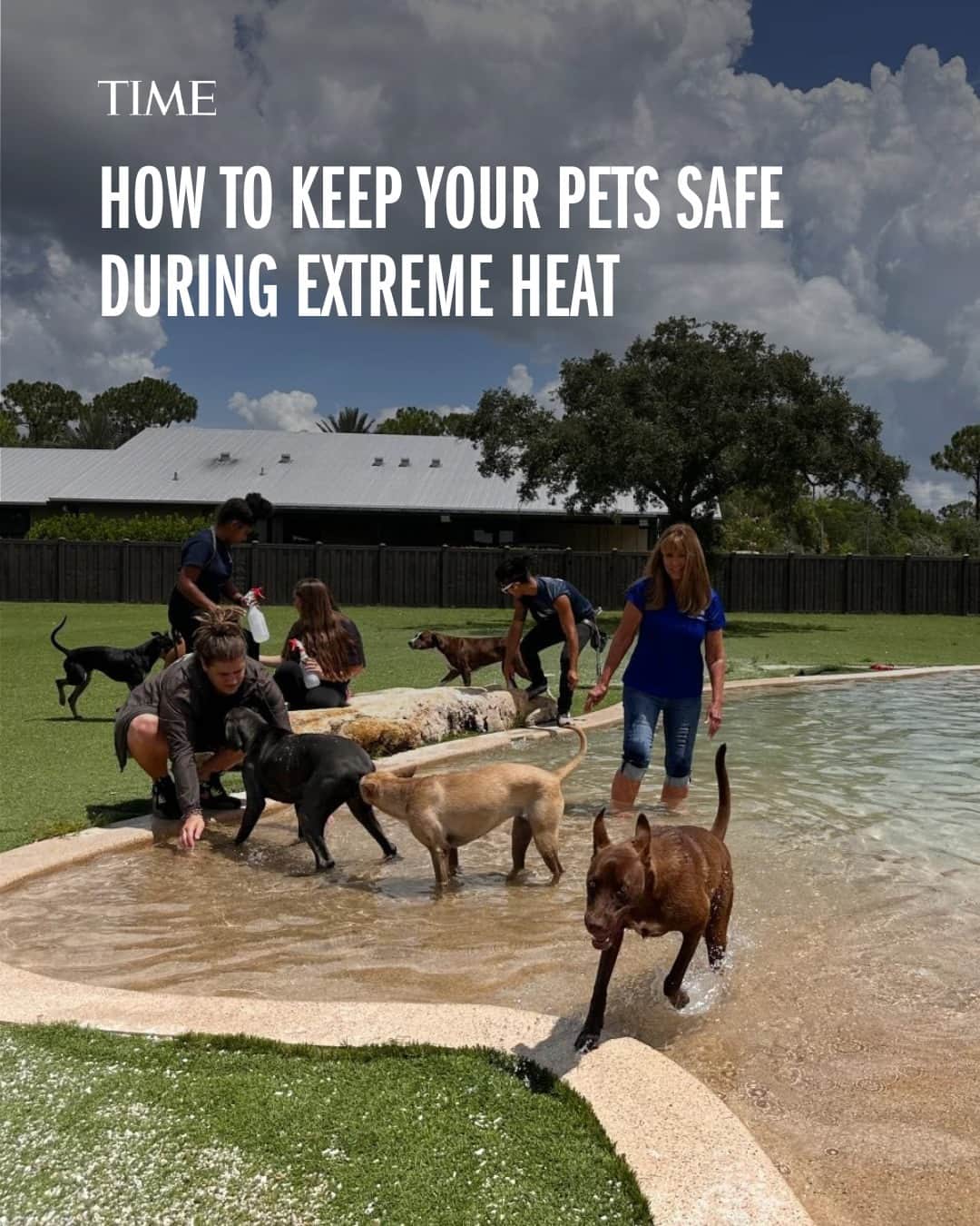 TIME Magazineのインスタグラム：「If it's hot for you, it's even hotter for your pet.  At the link in bio, learn how to keep your pets safe during extreme heat—and recognize signs that they're struggling.  Photograph by Natalie Paige—Big Dog Ranch」