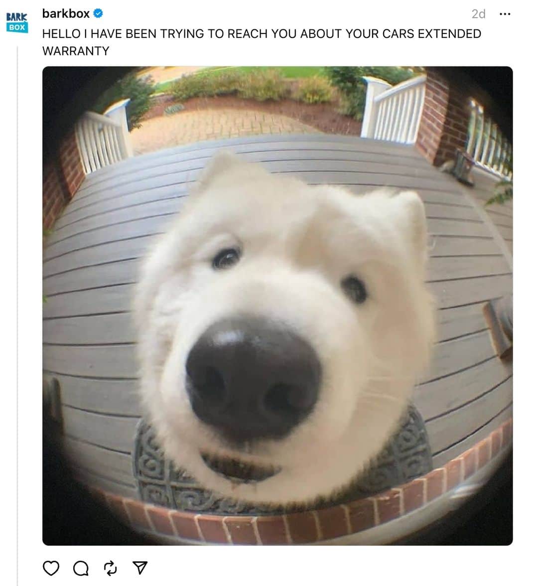 BarkBoxのインスタグラム：「the ONLY solicitor I would open the door for 😂⁠ ⁠ 📸: @po.lar_bear218」