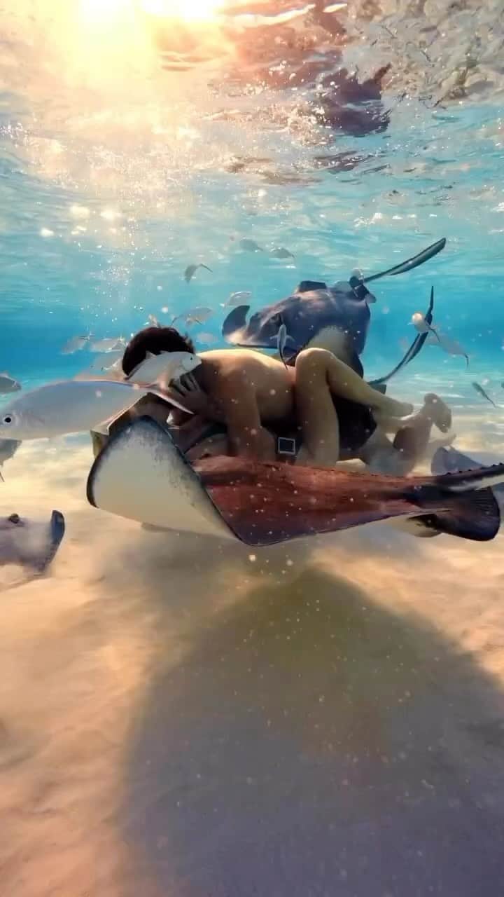 Awesome Wonderful Natureのインスタグラム：「Caption this!!! @danhlegend 😍😍🙌🏼🙌🏼 Would you swim with the stingrays? Tag your special someone . 📹 @danhlegend 👩🏼‍❤️‍💋‍👨🏼 @ali.earthchild 📍  Cayman Islands 🇰🇾」