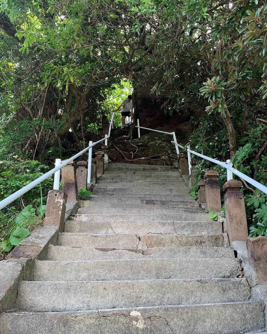 小川夏果さんのインスタグラム写真 - (小川夏果Instagram)「海辺に佇む神社⛩鹿屋に行く途中でたまたま見つけた。学業の神様が宿っているそうです。鹿児島の人、知ってた？綱を持って急な階段を登った先に神社があって、なかなかアドベンチャーな場所でした。  #荒平天神 #菅原道真 #鹿児島  #kagoshima #trip #japantrip #japan #japantravel #travelling #自然 #秘境 #worldtraveler #worldplaces  #niceplace #location」7月19日 17時51分 - ogawanachu