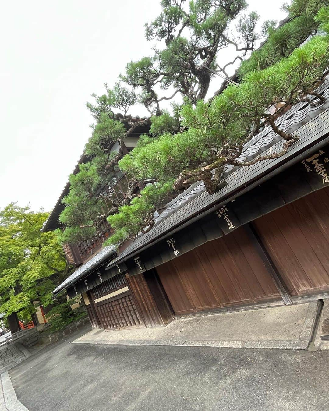 白羽ゆりさんのインスタグラム写真 - (白羽ゆりInstagram)「せっかく関西に来たので芸能の神様の車折神社にお参りに行ってきました。  今宮神社であぶり餅を食べたかったのですが、お休みでした😭  京都満喫しました💕  そういえば髪型ボブにしました。 まだ慣れません😎」7月19日 17時54分 - yurishirahane