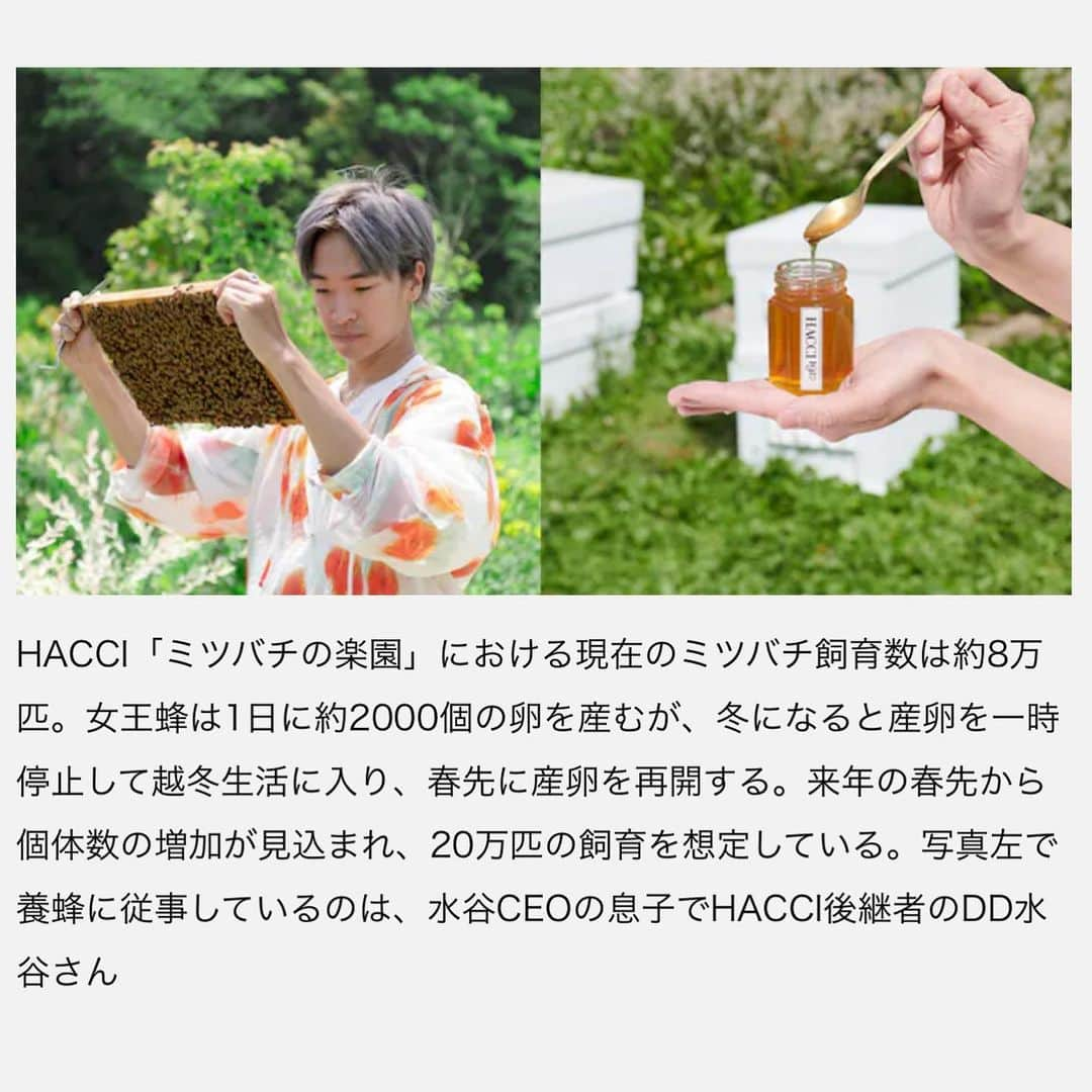 HACCI officialさんのインスタグラム写真 - (HACCI officialInstagram)「「ミツバチファースト」の楽園をーHACCIが挑む訳ー  HACCI BEE FARMがSDGsの今を語る『THE NIKKEI MAGIZINE』に特集されました。  伊勢神宮のほとりから、ミツバチの尊さを発信している理由をHACCI CEOの水谷仁美 @hacci1912 がお話しています✨  「ミツバチの、ミツバチによる楽園」への想い、 そしてミツバチたちがいかに私たちの生態系を支えているのか、皆さまにお伝えしたいことがぎゅっと詰まっています。  ぜひ、お読みください🐝🍯✨  #HACCI #養蜂場 #養蜂 #ミツバチ #はちみつ #ハチミツ #蜂蜜 #はちみつコスメ #HACCIBEEFARM #神宮神田 #伊勢神宮 #bee #beekeeping #beefarm #honeybee #honeybees #honeycosmetics #sdgs #日本経済新聞 #日経新聞 #日経ビジネス #日経ウーマン #日経woman」7月19日 18時12分 - hacci_official