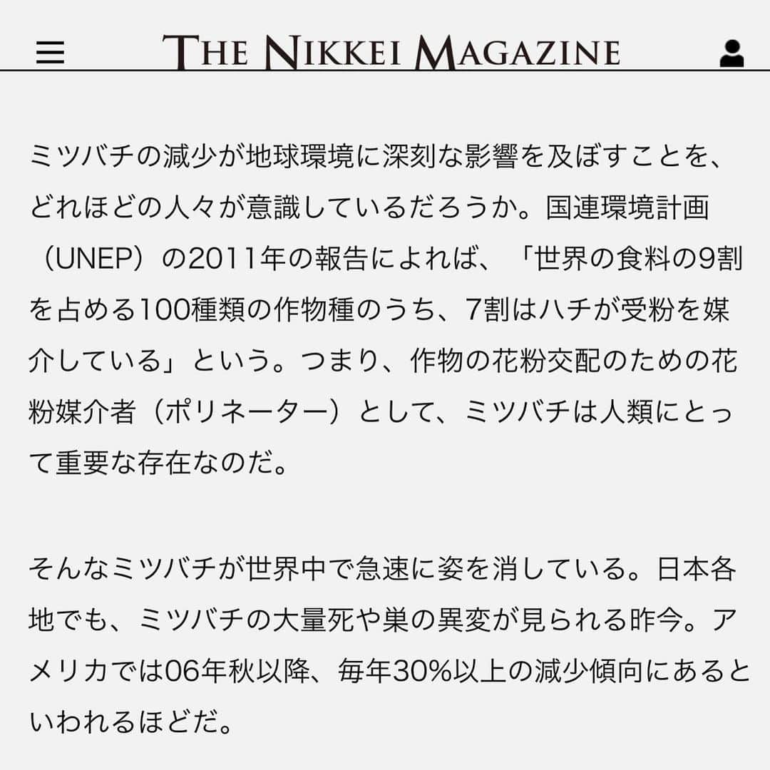HACCI officialさんのインスタグラム写真 - (HACCI officialInstagram)「「ミツバチファースト」の楽園をーHACCIが挑む訳ー  HACCI BEE FARMがSDGsの今を語る『THE NIKKEI MAGIZINE』に特集されました。  伊勢神宮のほとりから、ミツバチの尊さを発信している理由をHACCI CEOの水谷仁美 @hacci1912 がお話しています✨  「ミツバチの、ミツバチによる楽園」への想い、 そしてミツバチたちがいかに私たちの生態系を支えているのか、皆さまにお伝えしたいことがぎゅっと詰まっています。  ぜひ、お読みください🐝🍯✨  #HACCI #養蜂場 #養蜂 #ミツバチ #はちみつ #ハチミツ #蜂蜜 #はちみつコスメ #HACCIBEEFARM #神宮神田 #伊勢神宮 #bee #beekeeping #beefarm #honeybee #honeybees #honeycosmetics #sdgs #日本経済新聞 #日経新聞 #日経ビジネス #日経ウーマン #日経woman」7月19日 18時12分 - hacci_official