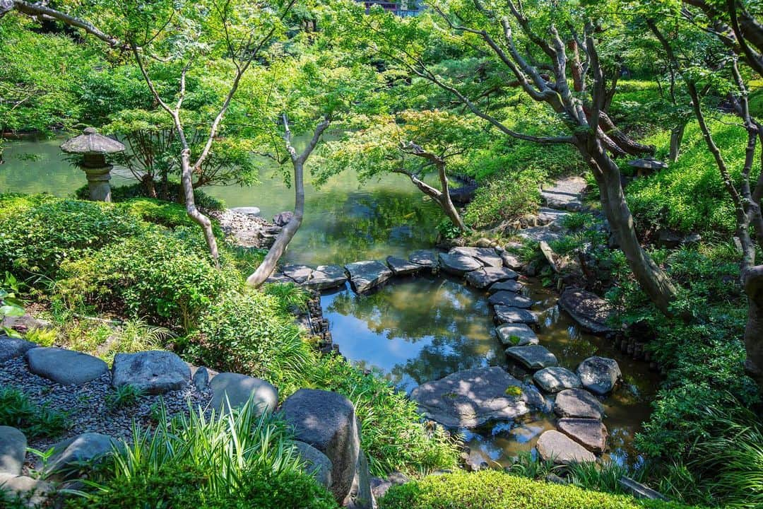 八芳園さんのインスタグラム写真 - (八芳園Instagram)「澄み渡る空の青さに、夏を感じる七月。  八芳園プライベートブランド「kiki-季季-」(@chocolate.kiki)より、採れたての果実を贅沢に使用したこの季節にぴったりの「フルーツゼリー」が新発売しました🍑🍊  国内で育まれた新鮮な旬の果実を色鮮やかに閉じ込めた目にも美しい〈瓶タイプ〉と、果汁そのもののようなジューシーさが味わえる〈パックタイプ〉の2種類をご用意しております。  夏のご挨拶や大切な方への贈り物に。  日本の四季の美しさを届ける「kiki-季季-」より、採れたての果実を使用した贅沢な夏の味わいをお届けいたします。  【商品情報】 ■フルーツゼリー 瓶350g 種類：全２種〈白桃(山形県)×甘夏(愛媛県)／温州みかん×八朔×若桃(和歌山県)〉 価格：1本 各1,836円（税込）／オリジナルギフトBOX入り〈2本〉 3,456円（税込）  ■フルーツゼリー パック150g 種類：全２種〈温州みかん(和歌山県)／不知火(和歌山県)〉 価格：1パック 各518円（税込）／ 木箱入り〈2種×各3パック〉3,780円（税込）  【販売場所】 公式サイト：https://kiki-chocolate.jp/ 八芳園内「kiki SHOP」：東京都港区白金台1-1-1 八芳園ロビーフロア  🍃✨🍊🍃✨🍑🍃✨🍃  #ゼリー #ギフト #お中元 #夏 #サマーギフト #🌻 #フルーツ #フルーツ好きな人と繋がりたい #果物 #贈り物 #フルーツ好き  #八芳園 #日本庭園 #happoen  #錦鯉 #池 #水辺 #日本の四季 #カメラ部 #写真好きな人と繋がりたい #その瞬間に物語を #風景写真   #japanesegarden #japan_of_insta #japan_daytime_view #ig_jp #japanoinsta #japantravel #tokyotrip #tokyotokyo」7月19日 18時20分 - happoen