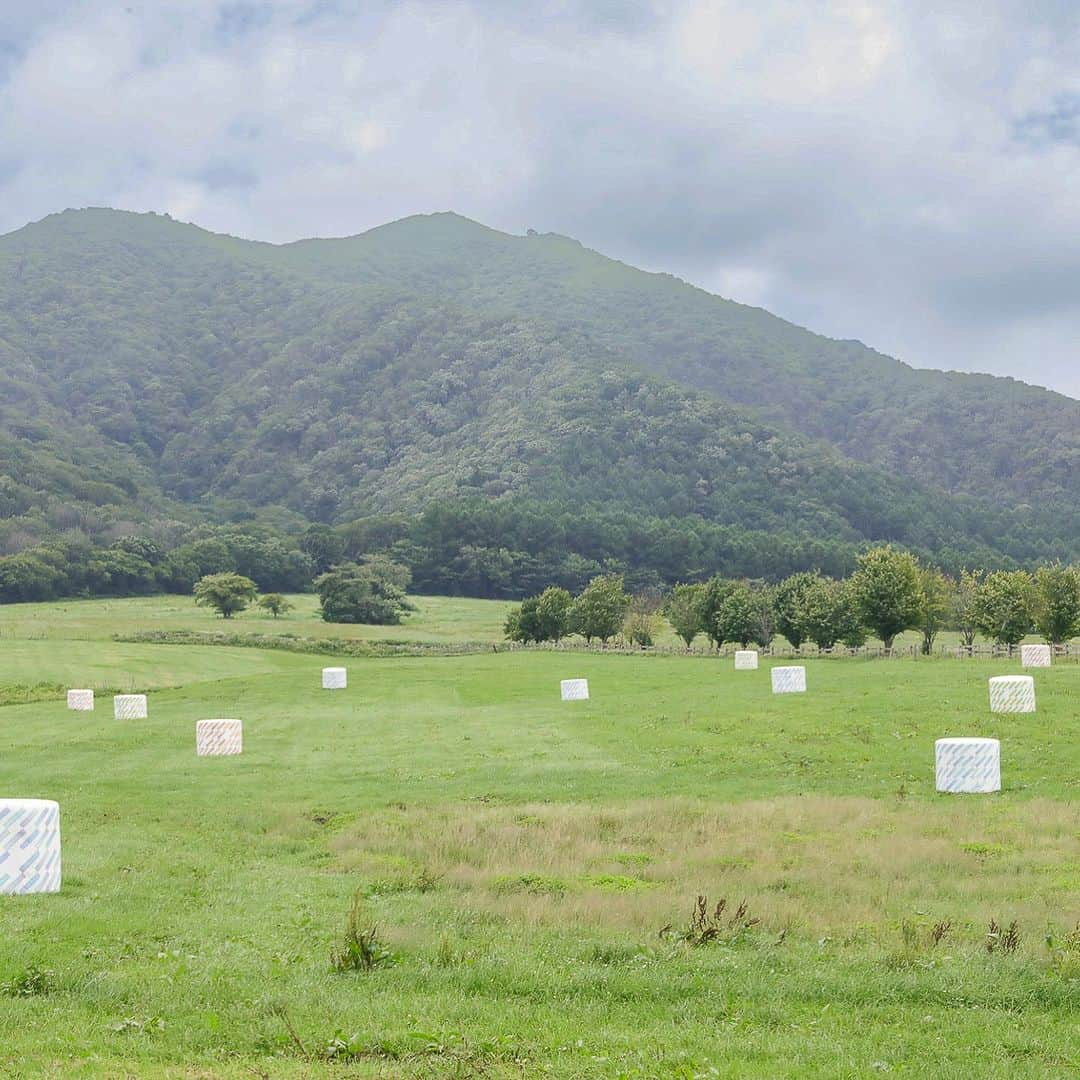 mt masking tapeさんのインスタグラム写真 - (mt masking tapeInstagram)「🐄🍦🌱 岡山デスティネーションキャンペーン 「mt project　蒜山」開催中  いよいよ夏休みがはじまりますね！ カモ井加工紙のある岡山県・蒜山では、『mt』と岡山の観光地がコラボレーションする、岡山デスティネーションキャンペーン「mt project　蒜山」を開催中です。 ４つの会場では蒜山の大自然やおいしいもの、かわいいものをテーマにデザインされた限定テープを販売しておりますので、旅の思い出をテープに託して、お持ち帰りください。  特設サイトもオープンしておりますので、ぜひご覧ください。 ⁡蒜山エリアのmt project開催スポット4ヶ所＋スタンプラリー対象店舗（施設）１ヶ所の合計5つのスタンプを集める、スタンプラリーも行っています。 暑い日々が続きますが、熱中症に気をつけてご来場ください。  詳しくはこちらをご覧ください。 https://www.masking-tape.jp/okayama_dc2023/ ⁡ ⁡ 【蒜山】 期間：7月15日（土）〜8月27日（日） ⁡ 〔mt project 開催スポット〕 ◎GREENable HIRUZEN［グリーナブルヒルゼン］ ［住所］ 真庭市蒜山上福田1205-220 ［時間］ 9：00〜17：00 ［定休日］ 水曜日（祝日の場合は翌平日） ［お問い合わせ先］ 0867-45-0750（GREENable HIRUZEN） ⁡ ◎ひるぜんワイナリー ［住所］ 真庭市蒜山上福田1205-32 ［時間］ 10：00～17：00 ［お問い合わせ先］ 0867-66-4424（ひるぜんワイナリー） ⁡ ◎ひるぜんジャージーランド ［住所］ 真庭市蒜山中福田956-222 ［時間］ 9：30〜16：30 ［お問い合わせ先］ 0867-66-7011（ひるぜんジャージーランド） ⁡ ◎蒜山ハーブガーデン ハービル ［住所］ 真庭市蒜山西茅部1480-64 ［時間］ 9：00〜16：30 ［定休日］ ［7月〜8月］無休［9月］水曜日 ［入園料］ 大人300円、中・高校生200円 ［お問い合わせ先］ 0867-66-4533（蒜山ハーブガーデン ハービル） ⁡ JR岡山駅から蒜山エリアへバスで直行でき、mtプロジェクトの各スポットを巡れる 岡山駅出発の便利なバスツアーの運行もございます。 ⁡ 詳しくは以下の「岡山デスティネーションキャンペーン推進協議会」サイトをご覧ください。 https://www.okayama-kanko.jp/dc/mtproject2023/ ⁡ ※本企画は、開催期間の短縮、中止等の場合があります。また、各観光施設によって、臨時休業等の場合があります。予めご了承ください。 ※写真及びイラストはイメージで、実際とは異なる場合があります。 ※掲載の観光施設などの休業日・営業時間などは変更となる場合がございます。予め出発前にご確認ください。 ※掲載の電話番号は各施設の問い合わせ用のため、現地の電話番号と異なる場合があります。カーナビ等での位置検索で実際とは異なる場所を示す場合があります。 ⁡ #マステ沼 #カモ井加工紙 #カモ井 #kamoi #mtマスキングテープ #mtmaskingtape #カモ井加工紙株式会社 #マステ好きな人と繋がりたい #文房具好きな人と繋がりたい #mtマステ #diy #マスキングテープ活用法 #マステ活用法 #岡山DC #蒜山 #ひるぜん #mtイベント」7月19日 18時24分 - mt_masking_tape