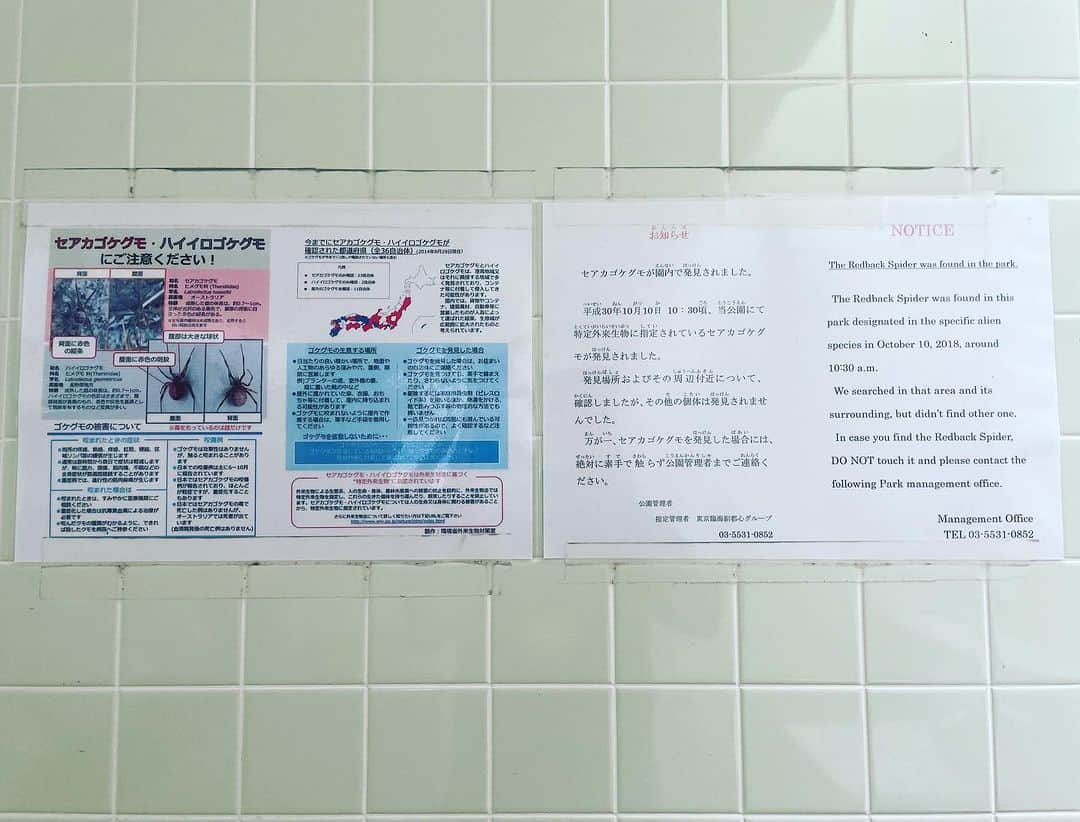 一三のインスタグラム：「コロナ前，あんなに騒いでたヒアリやクモってどうなったんだろ？  未だ東京湾岸の公衆トイレには張り紙あるけれど。」