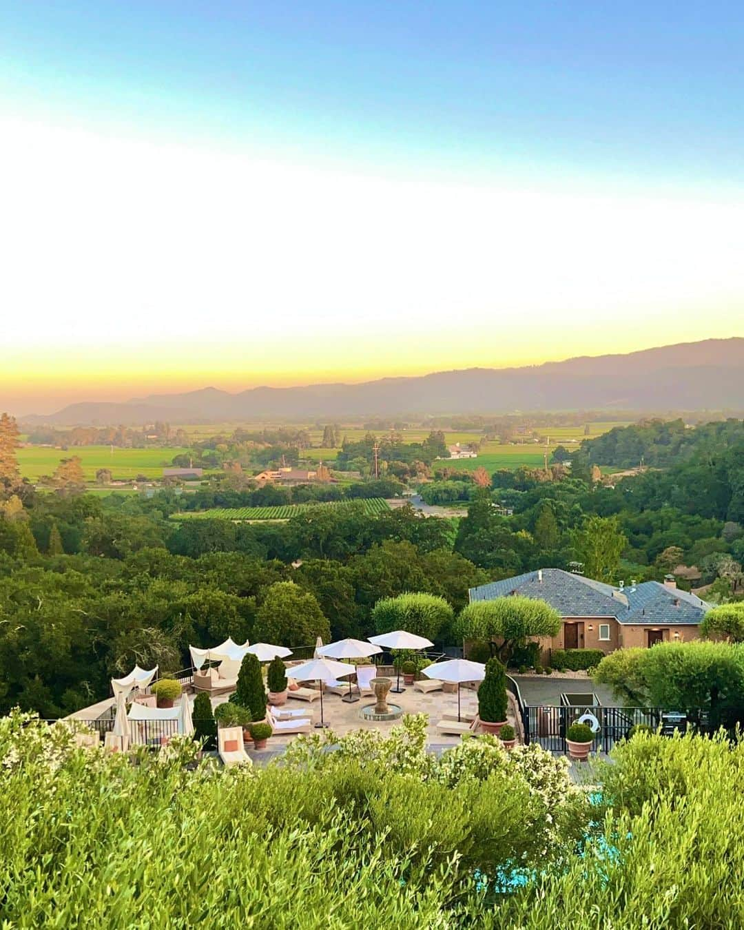 Eri Antonさんのインスタグラム写真 - (Eri AntonInstagram)「Auberge properties in Napa this weekend for work and some relaxing time.  I stayed at @stanlyranchauberge and had dinner at the Michelin rated  @aubergedusoleil   Beauty, peace and serenity in all I experienced. 💕💕💕 #napavalley」7月19日 11時54分 - erianton_