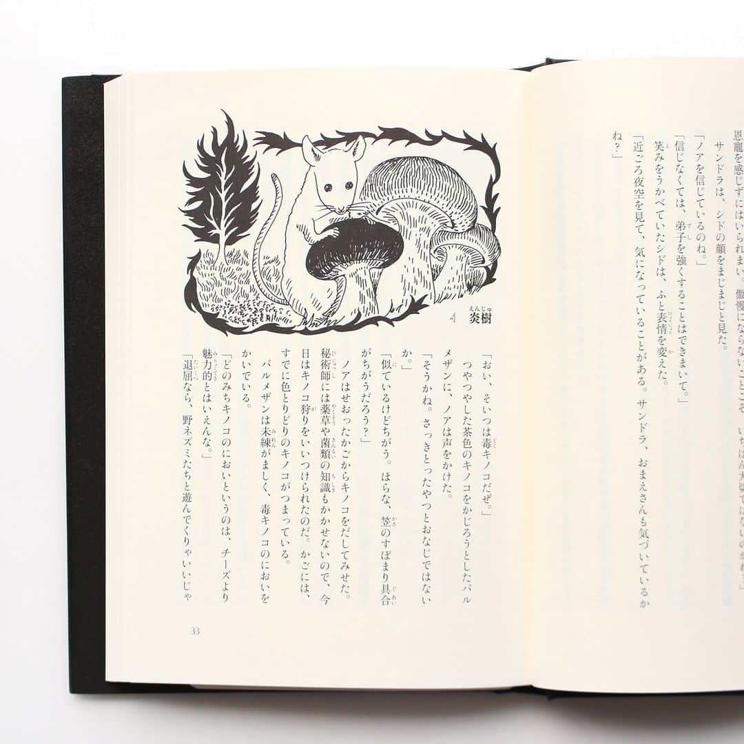 偕成社さんのインスタグラム写真 - (偕成社Instagram)「日本人の書き手による、外国文学のような王道の長編ファンタジー👏  選ばれたものにしか読めない魔法書「サロモンの書」の読み手となった少年ノアの、本をめぐる冒険が描かれます。   『青の読み手』『紅の魔女』に続く第3弾、『黒の皇子』（小森香折　作／平澤朋子　絵）が発売しました！  ＊  裏切者はだれだ？  大導師サロモンが遺した、選ばれたものにしか読めない魔法書「サロモンの書」。 ひょんなことからその選ばれしもの、＜青の読み手＞となった、少年ノアの、本をめぐる冒険ファンタジー。  山で修行をつんだノアは、めきめきと秘術の腕をあげていた。 そんなおり、北の大国ザスーンで反乱が起こり、皇帝一家が殺されたとの一報が入る。  ノアたちはこの政変の背後に、世界をほろぼすために復活するといわれたレトの存在を予感する。しかし、生き残りの皇子アレクセイがあらわれたことで、事態は一変する。  #青の読み手 #紅の魔女　#黒の皇子 #小森香折 #平澤朋子 #ファンタジー #偕成社 #kaiseisha #公式アカウント #絵本 #児童書」7月19日 12時00分 - kaiseisha_pr