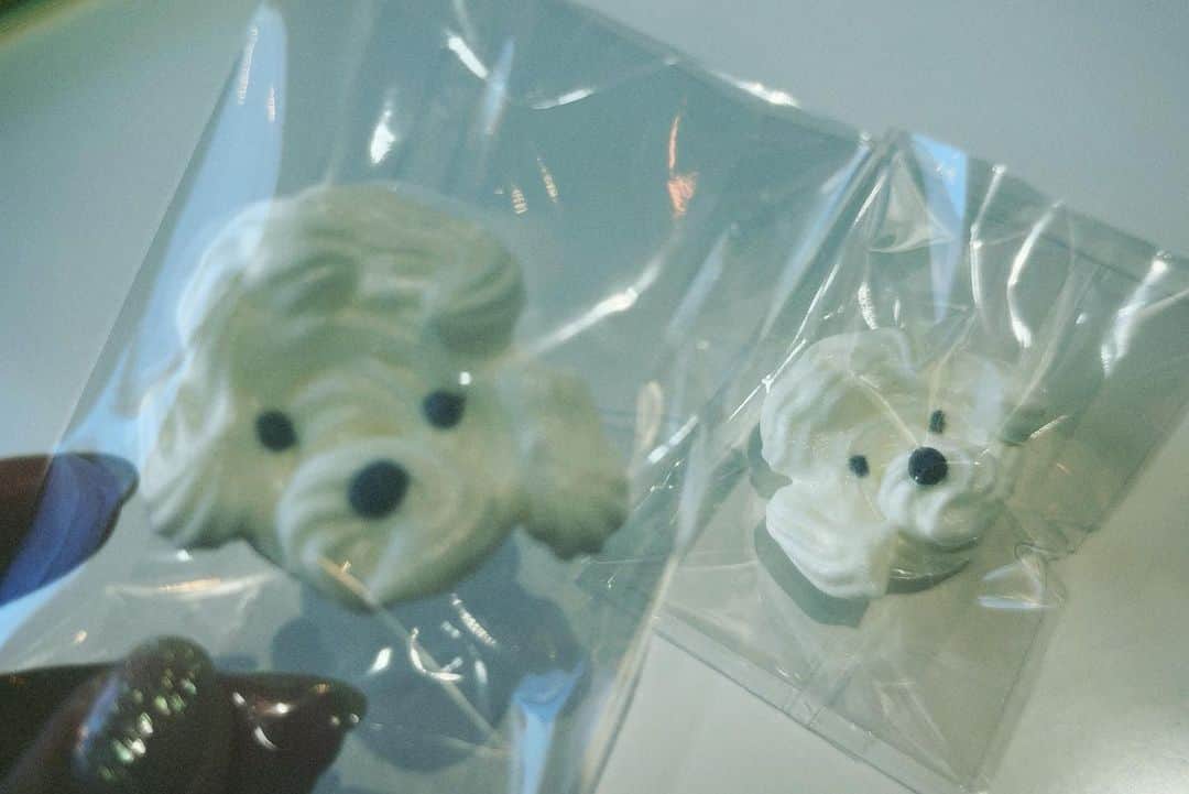 井上ほの花のインスタグラム：「⭐️🐶  とっても居心地が良くてまた行きたいと思ったよ！ おいしかったな〜♡」