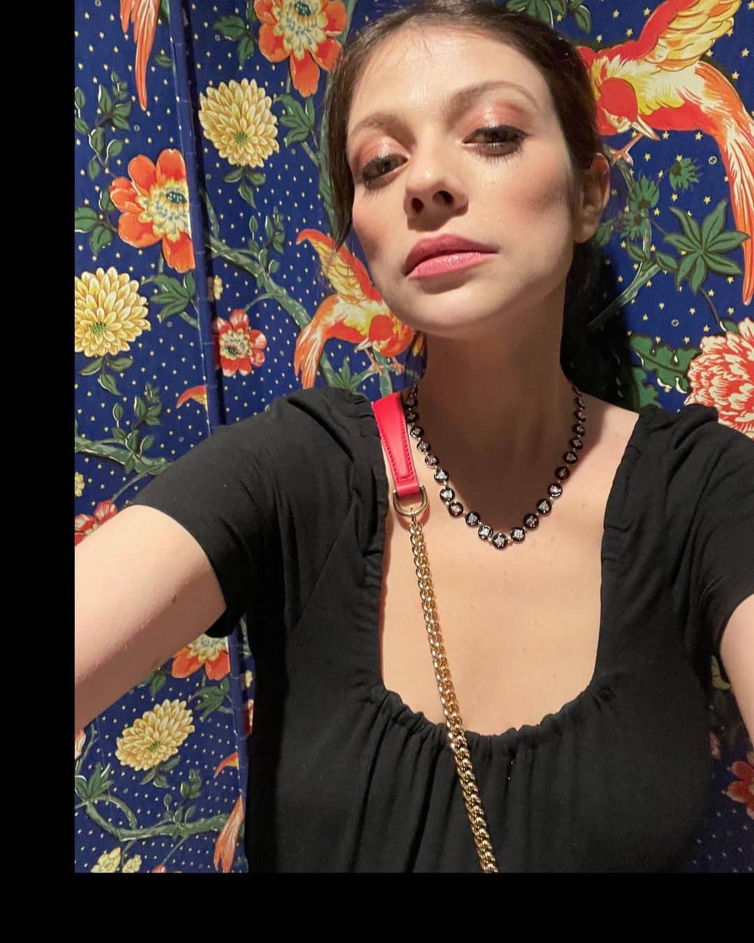 ミシェル・トラクテンバーグのインスタグラム