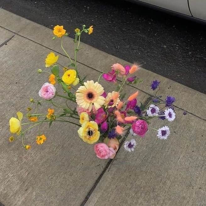 矢部ユウナのインスタグラム：「♡💐♡」