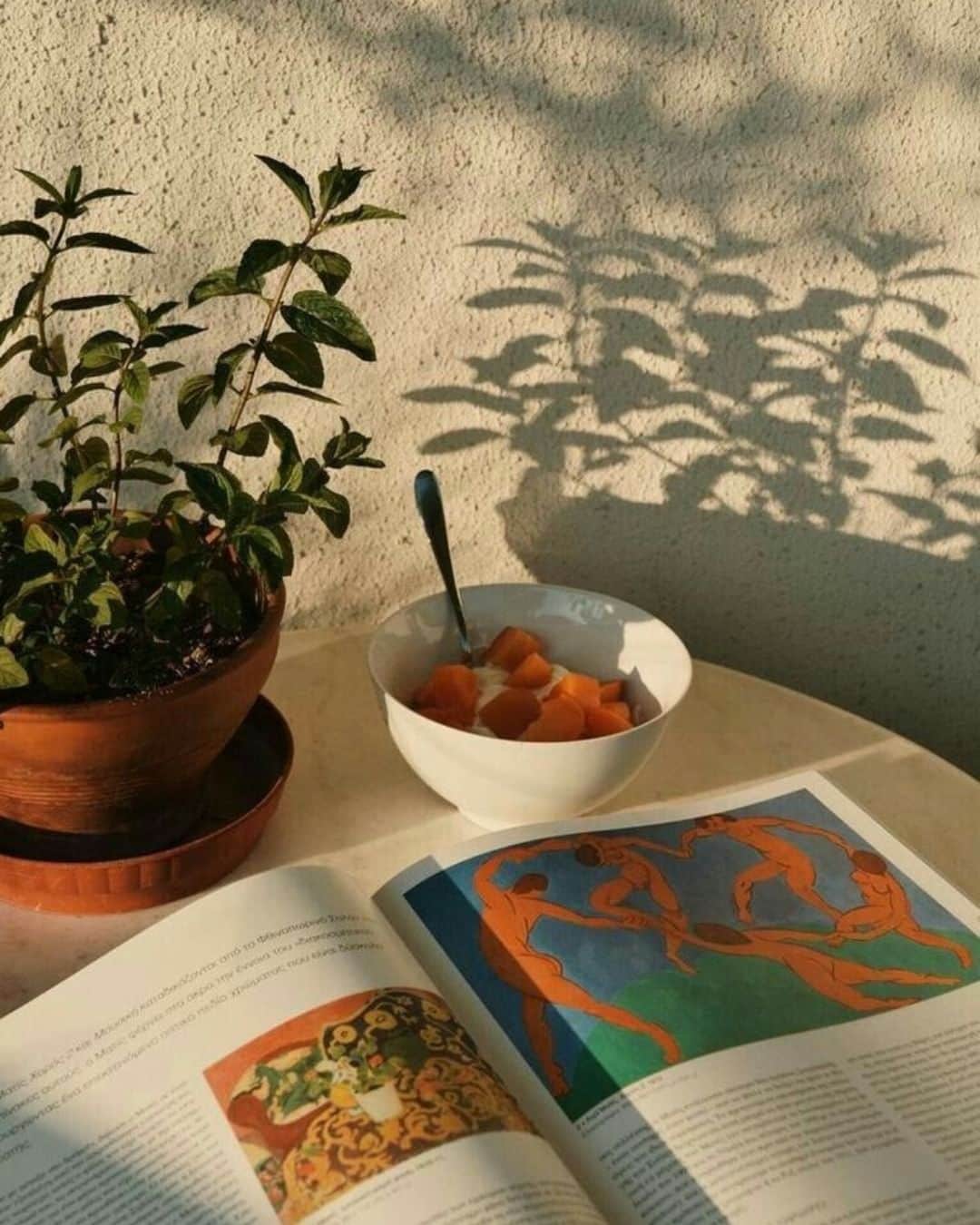 のインスタグラム：「MORNING ROUTINE 🧡  Une matinée ensoleillée, un bol rempli de fruits frais, les rayons du soleil caressant doucement la peau… L’été nous enveloppe de sa chaleur bienveillante et nous transporte dans une symphonie de saveurs sucrées. 🍋  📸 : @nafsication   ---  A sunny morning, a bowl filled with fresh fruits, the sun’s rays gently caressing the skin… Summer wraps us in its warm embrace and transports us into a symphony of sweet flavors. 🍋  📸 : @nafsication   #Princessetamtam #MorningRoutine #BreakfastTime #CozyMornings #Summer #BookLovers #Fruits」