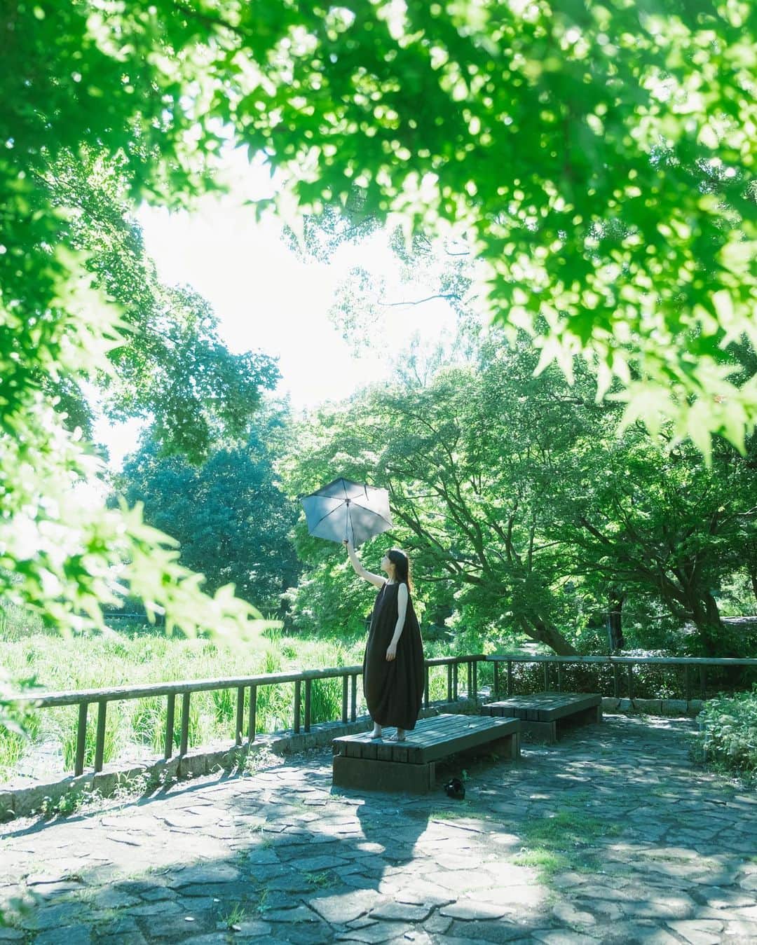のインスタグラム：「. 夏の日差しひとつ ⁡」
