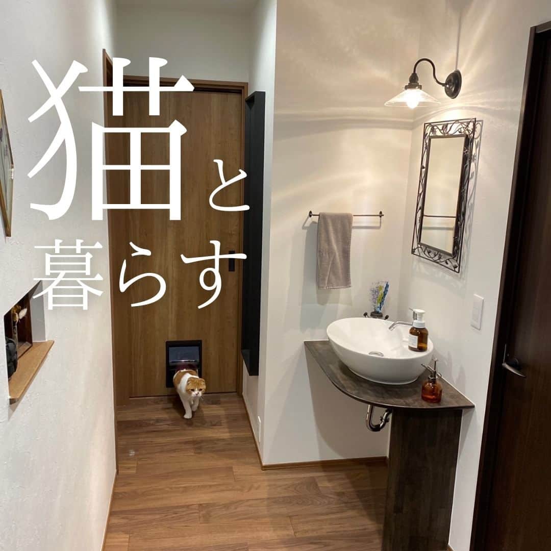 お家の守り神 イエティさんのインスタグラム写真 - (お家の守り神 イエティInstagram)「【猫と暮らす家】→→→@ietatta_ishikawa  #能美市 にある #一忠建築設計工務店 (@icchuarchi ) さんの施工事例をご紹介 ✨  ＝＝ CONCEPT ＝＝ 猫と暮らす家  ─────────────────── 石川県地域密着 住宅サイト「イエタッタ」 ▼公式サイトはプロフィールから🏡 @ietatta_ishikawa ───────────────────  #イエタッタ #石川県住宅会社 #石川県工務店  #シンプルモダン  #注文住宅 #家づくり #工務店  #リフォーム #リノベーション #新築 #家  #ハウスメーカー #住宅メーカー #暮らし #住まい  #住宅 #一戸建て #建築 #マイホーム #施工事例」7月19日 17時10分 - ietatta_ishikawa