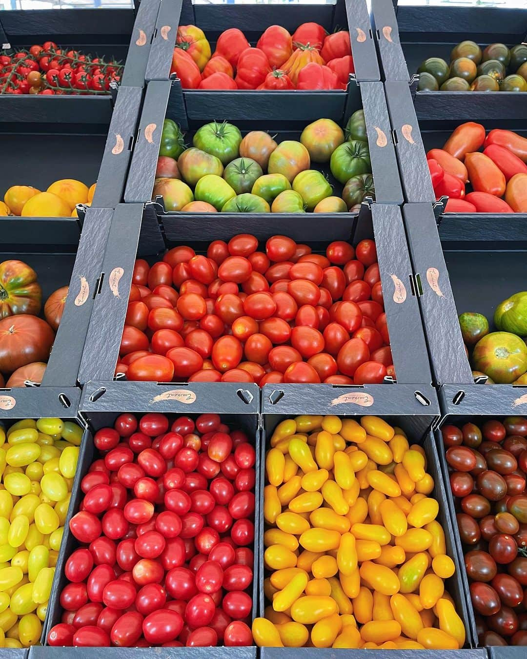 Amata Chittaseneeさんのインスタグラム写真 - (Amata ChittaseneeInstagram)「🍌🍒🍆🫑🍋🍅🥦🌶️🥑🥕 Farmer Market, Rotterdam, the Netherlands #pearypiearoundtheworld  - เก็บบรรยากาศสีสันสดใสของผลไม้และผักต่างๆมาฝากค่า 😍 🍒 ข่วงนี้เป็น ช่วงฤดูร้อนของโซนยุโรป ผลไม้พวก cherry berry เยอะมากๆค่ะ รวมไปถึง peachและ nectarineค่ะ 🍑 แพรเป็นคนชอบเดินตลาดสดมากๆ ได้เห็นความหลากหลาย ผักบางชนิดนี้ไม่รู้จักไปเลย ผลไม้บางอย่าง อ๋อ ที่เมืองไทยก็มี เห็ดนี้หน้าตาน่ารักแหะ มะเขือเทศลูกใหญ่สวยจัง มันสนุกดีนะ 😄」7月19日 19時11分 - pearypie