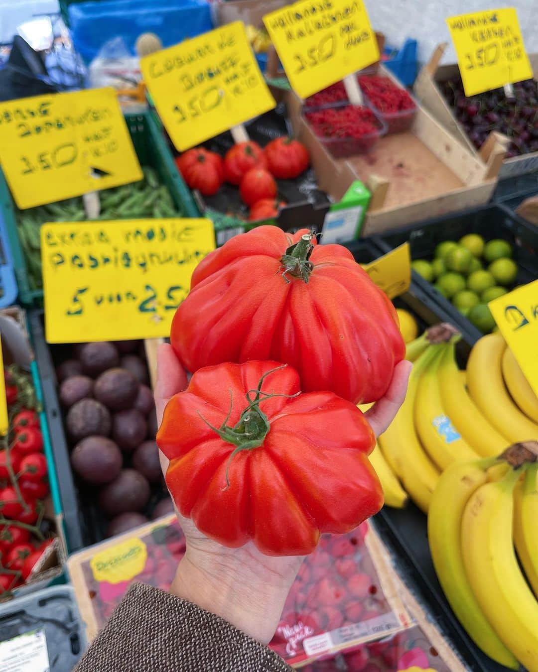 Amata Chittaseneeさんのインスタグラム写真 - (Amata ChittaseneeInstagram)「🍌🍒🍆🫑🍋🍅🥦🌶️🥑🥕 Farmer Market, Rotterdam, the Netherlands #pearypiearoundtheworld  - เก็บบรรยากาศสีสันสดใสของผลไม้และผักต่างๆมาฝากค่า 😍 🍒 ข่วงนี้เป็น ช่วงฤดูร้อนของโซนยุโรป ผลไม้พวก cherry berry เยอะมากๆค่ะ รวมไปถึง peachและ nectarineค่ะ 🍑 แพรเป็นคนชอบเดินตลาดสดมากๆ ได้เห็นความหลากหลาย ผักบางชนิดนี้ไม่รู้จักไปเลย ผลไม้บางอย่าง อ๋อ ที่เมืองไทยก็มี เห็ดนี้หน้าตาน่ารักแหะ มะเขือเทศลูกใหญ่สวยจัง มันสนุกดีนะ 😄」7月19日 19時11分 - pearypie