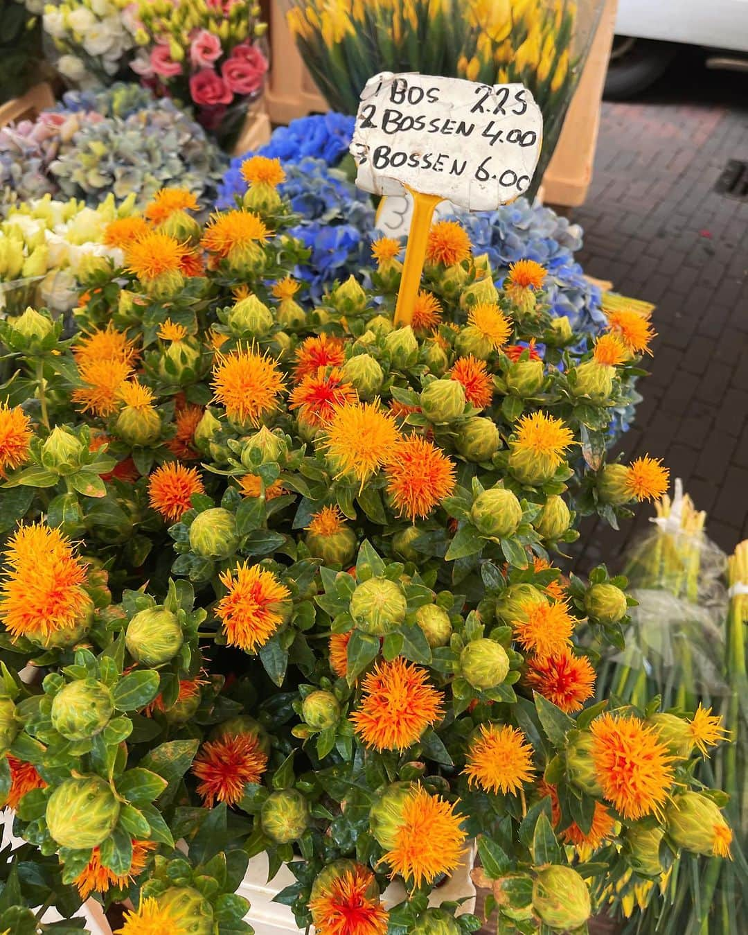 Amata Chittaseneeさんのインスタグラム写真 - (Amata ChittaseneeInstagram)「🍌🍒🍆🫑🍋🍅🥦🌶️🥑🥕 Farmer Market, Rotterdam, the Netherlands #pearypiearoundtheworld  - เก็บบรรยากาศสีสันสดใสของผลไม้และผักต่างๆมาฝากค่า 😍 🍒 ข่วงนี้เป็น ช่วงฤดูร้อนของโซนยุโรป ผลไม้พวก cherry berry เยอะมากๆค่ะ รวมไปถึง peachและ nectarineค่ะ 🍑 แพรเป็นคนชอบเดินตลาดสดมากๆ ได้เห็นความหลากหลาย ผักบางชนิดนี้ไม่รู้จักไปเลย ผลไม้บางอย่าง อ๋อ ที่เมืองไทยก็มี เห็ดนี้หน้าตาน่ารักแหะ มะเขือเทศลูกใหญ่สวยจัง มันสนุกดีนะ 😄」7月19日 19時11分 - pearypie